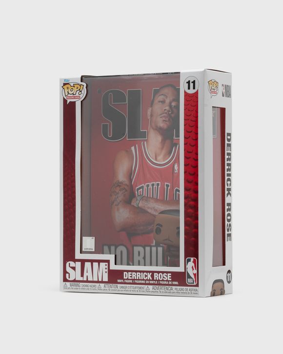 NBA Cover: SLAM - Derrick Rose