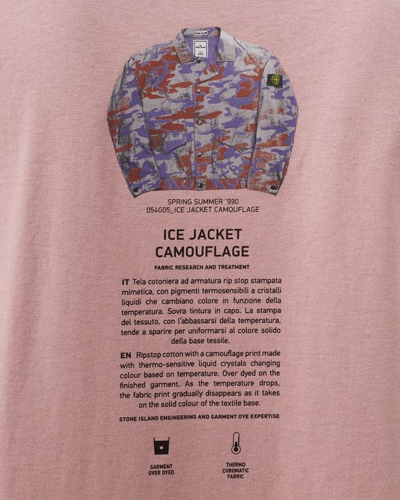 Tshirt Cotton Jersey "Archivio Print"