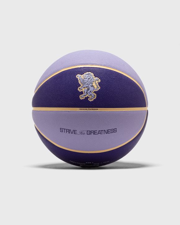 ALL COURT 2.0 8P L JAMES DEFLATED BASKETBALL SIZE 7