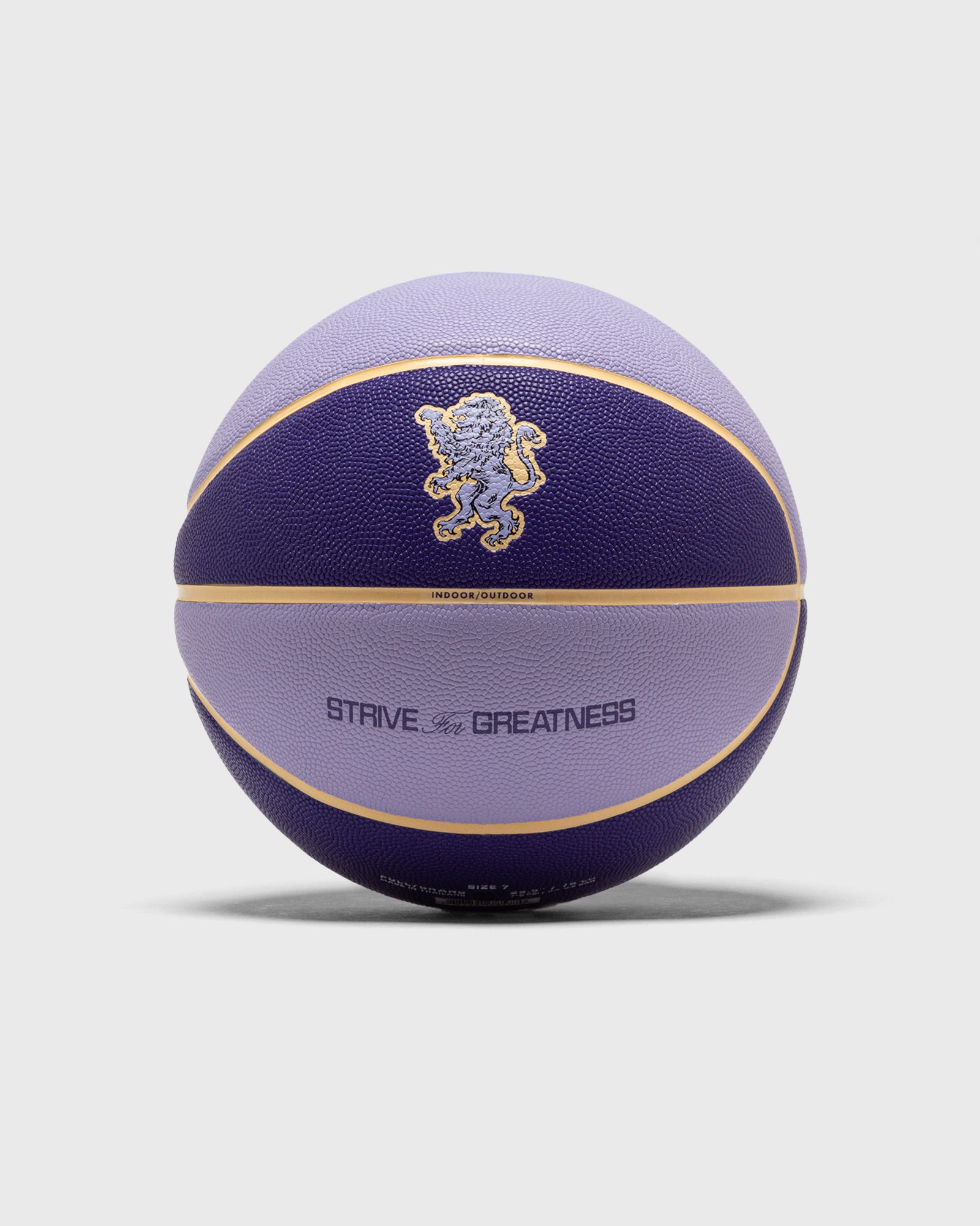 ALL COURT 2.0 8P L JAMES DEFLATED BASKETBALL SIZE 7