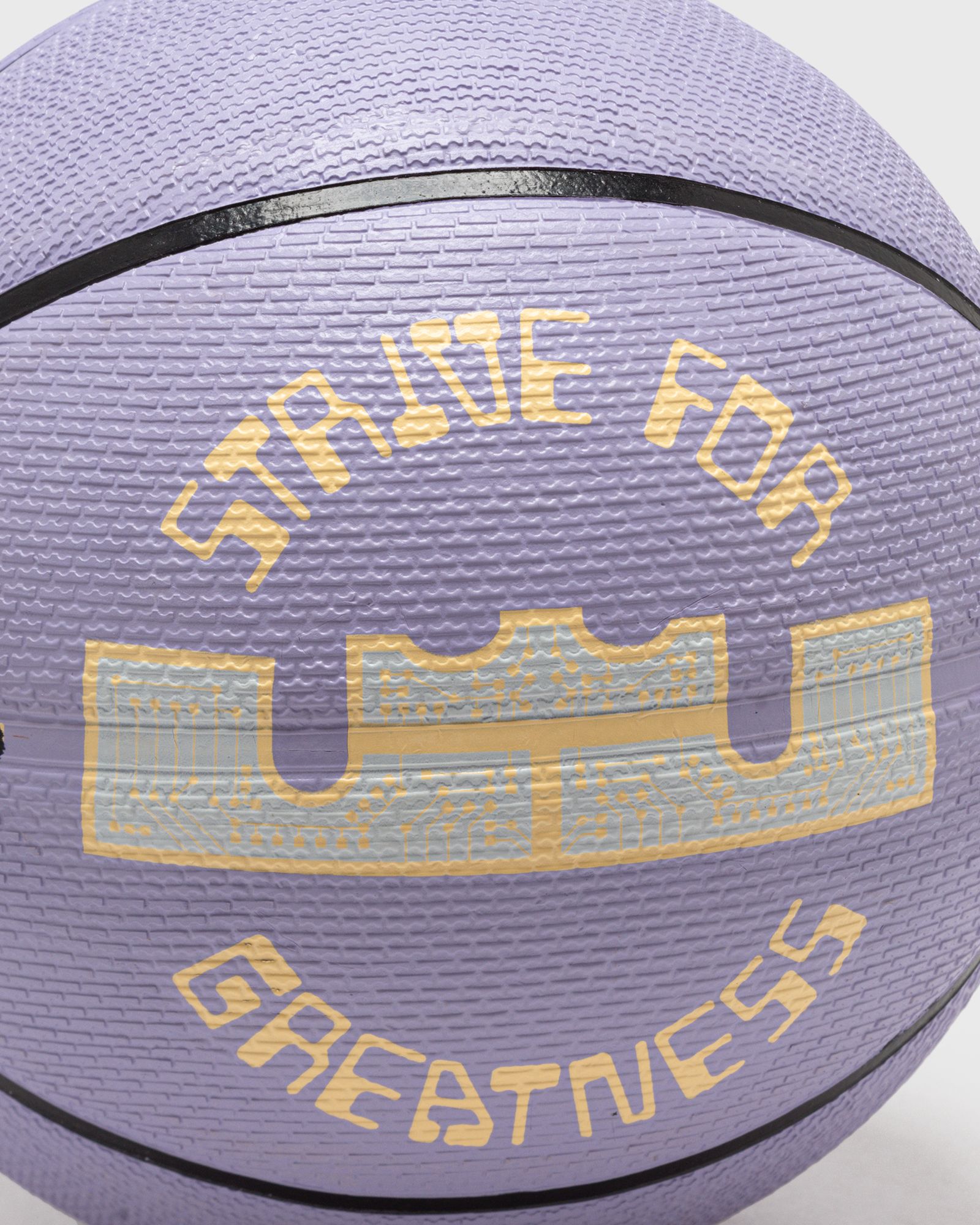 PLAYGROUND 2.0 8P L JAMES DEFLATED BASKETBALL SIZE 7