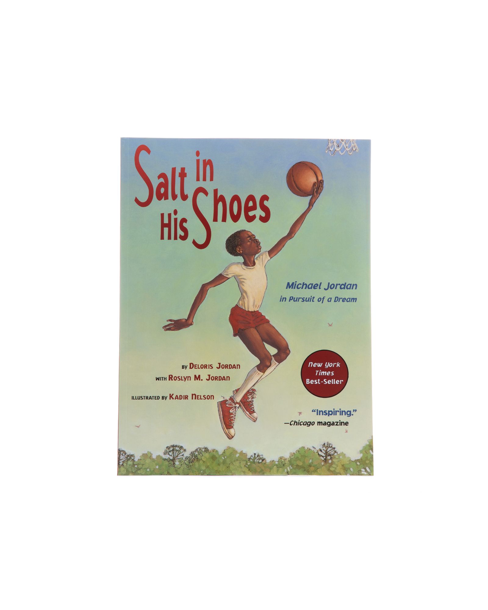 Salt In His Shoes: Michael Jordan in Pursuit of a Dream