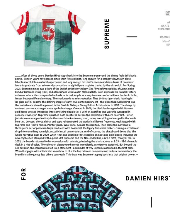 ALL GONE 2025 "Pointman et ses amis"