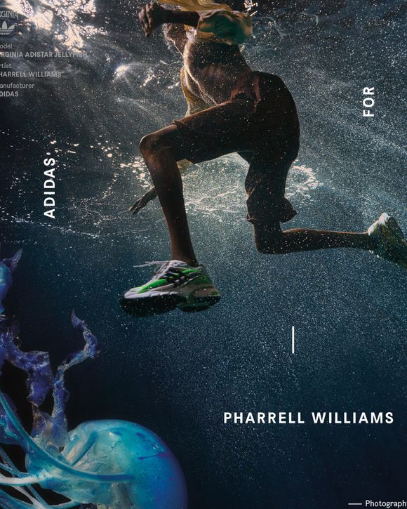 ALL GONE 2025 "Pointman et ses amis"