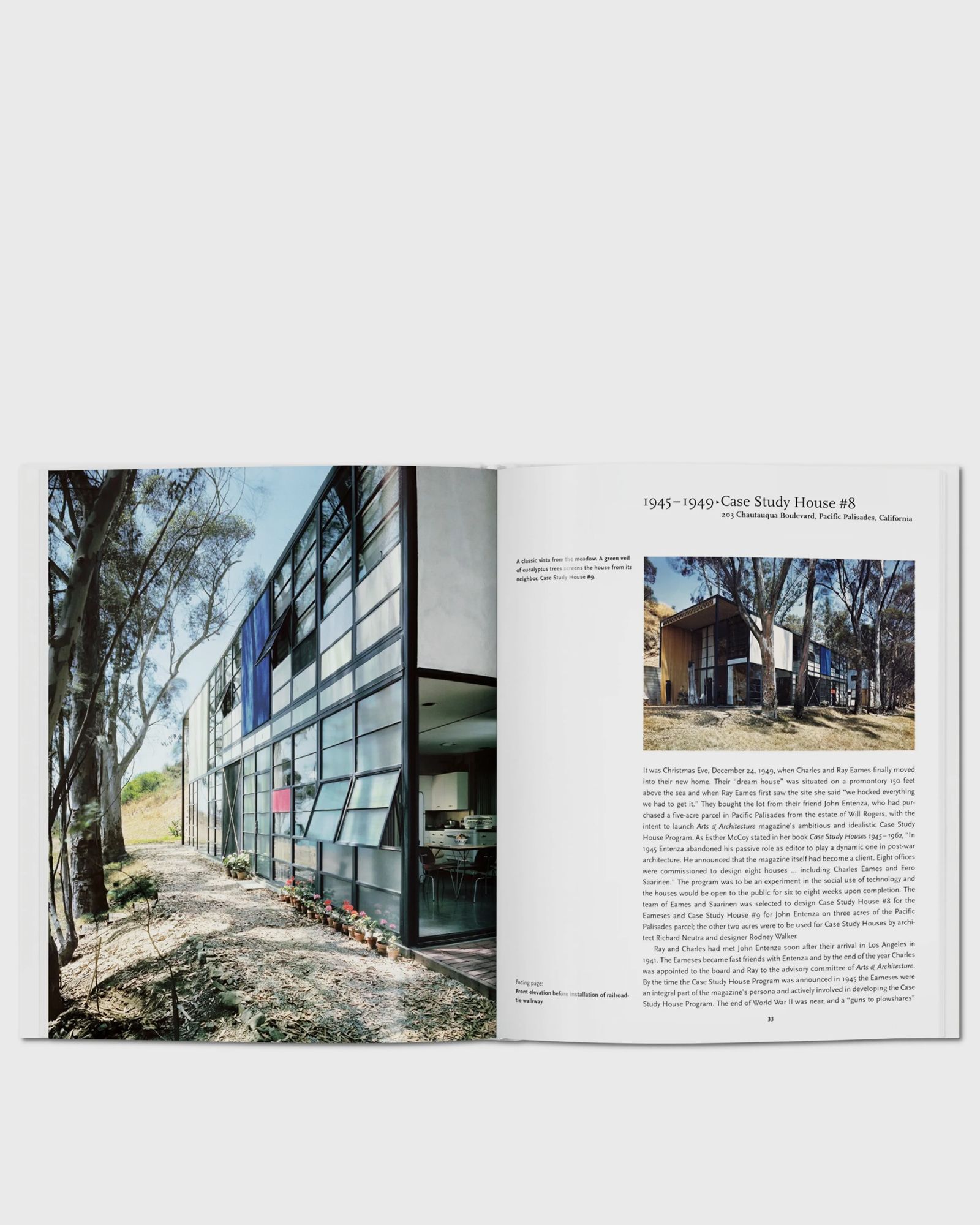 Eames by Gloria Koenig