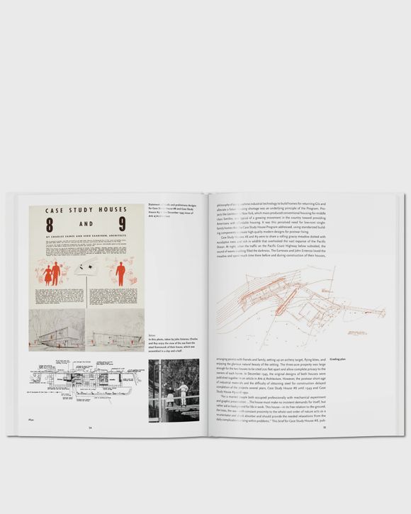 Eames by Gloria Koenig