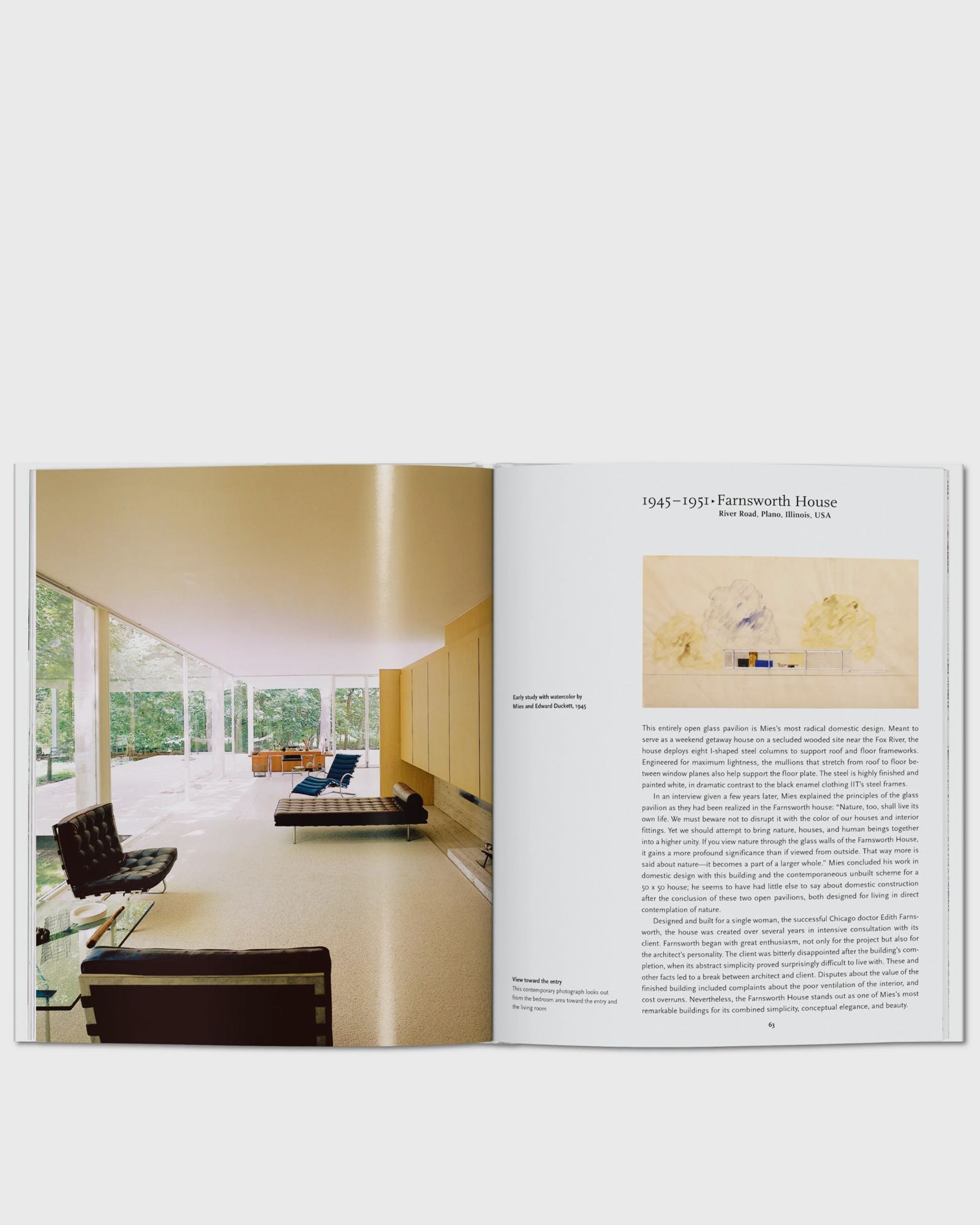 Mies van der Rohe by Claire Zimmerman