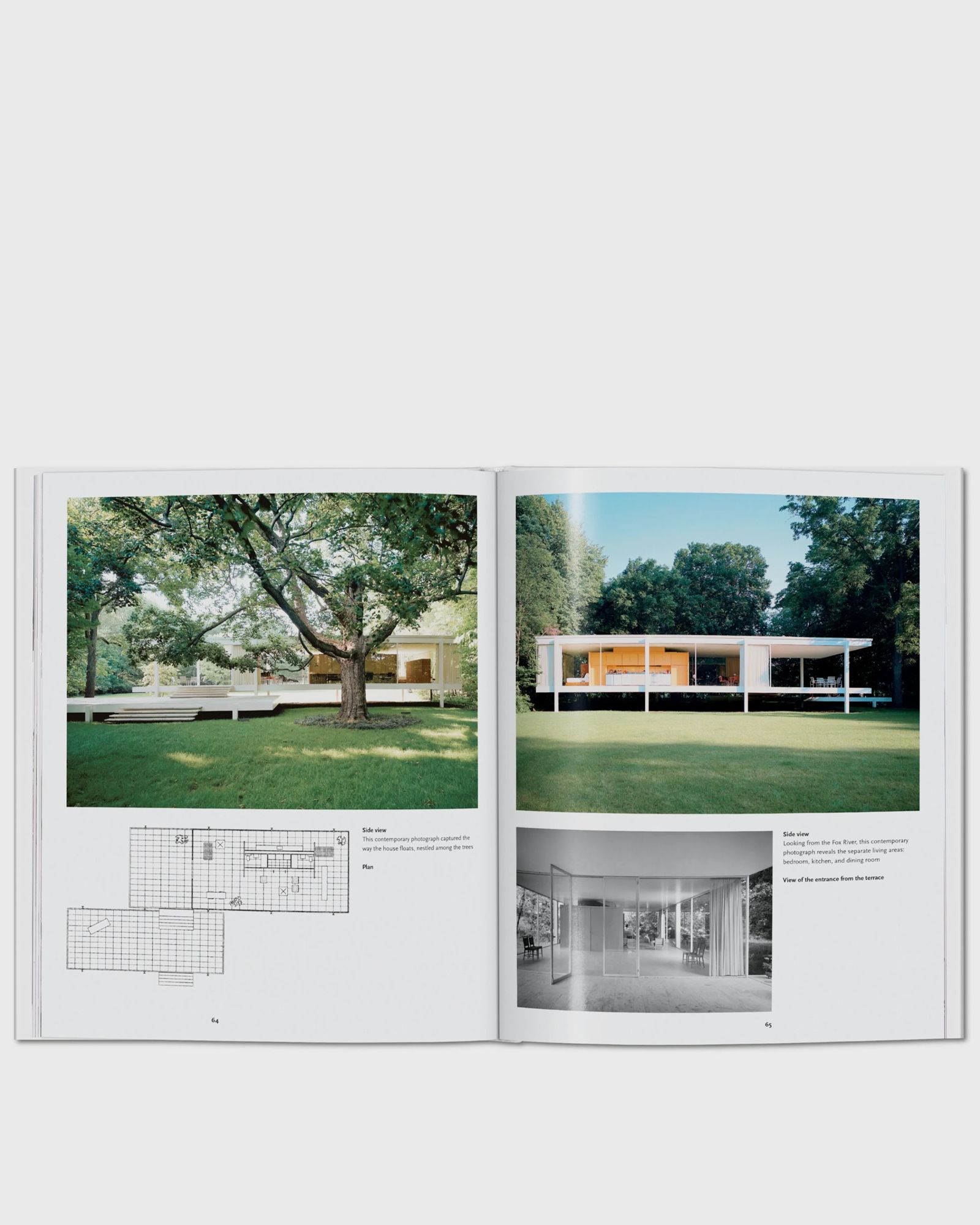 Mies van der Rohe by Claire Zimmerman