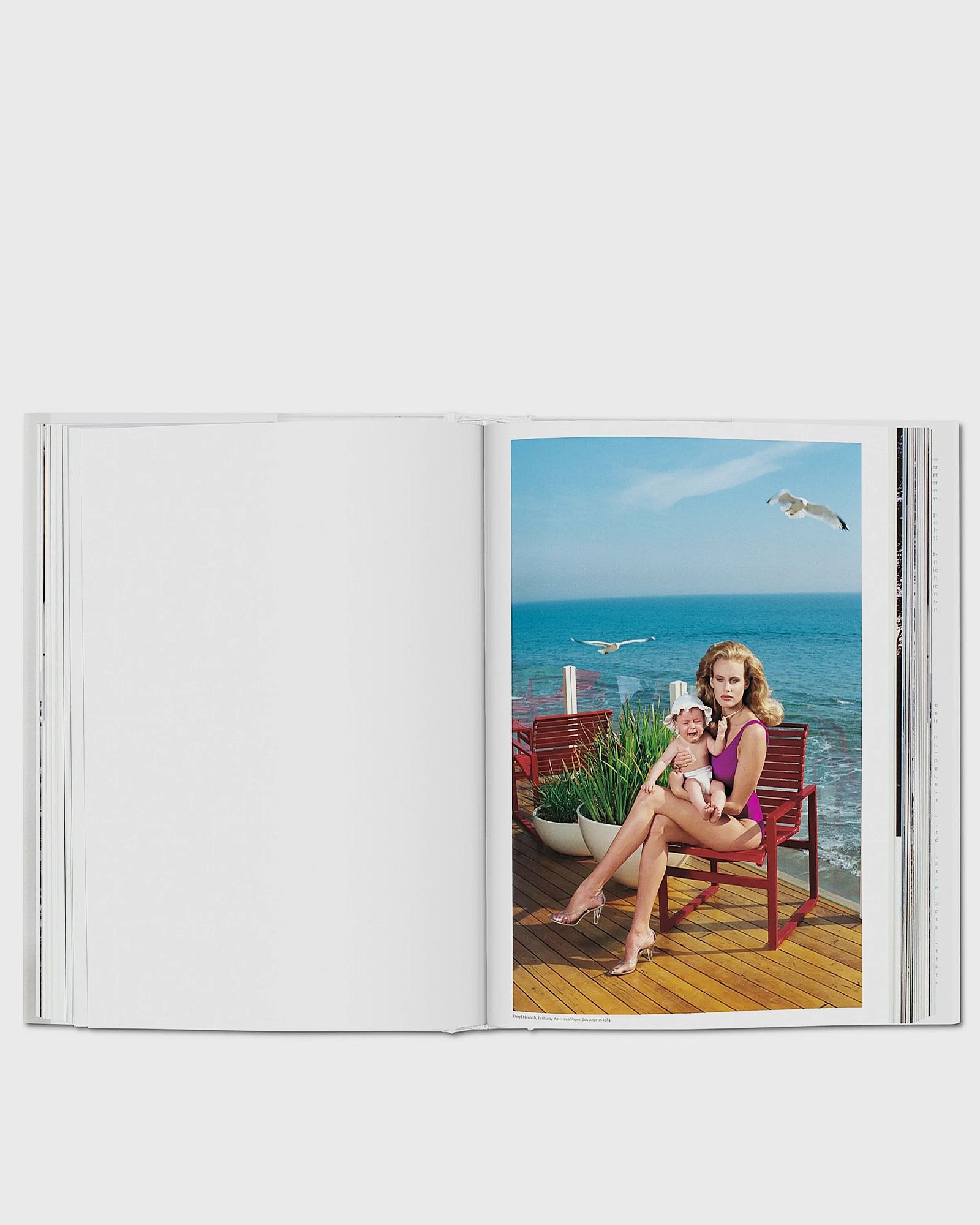 SUMO. 20th Anniversary Edition by Helmut Newton