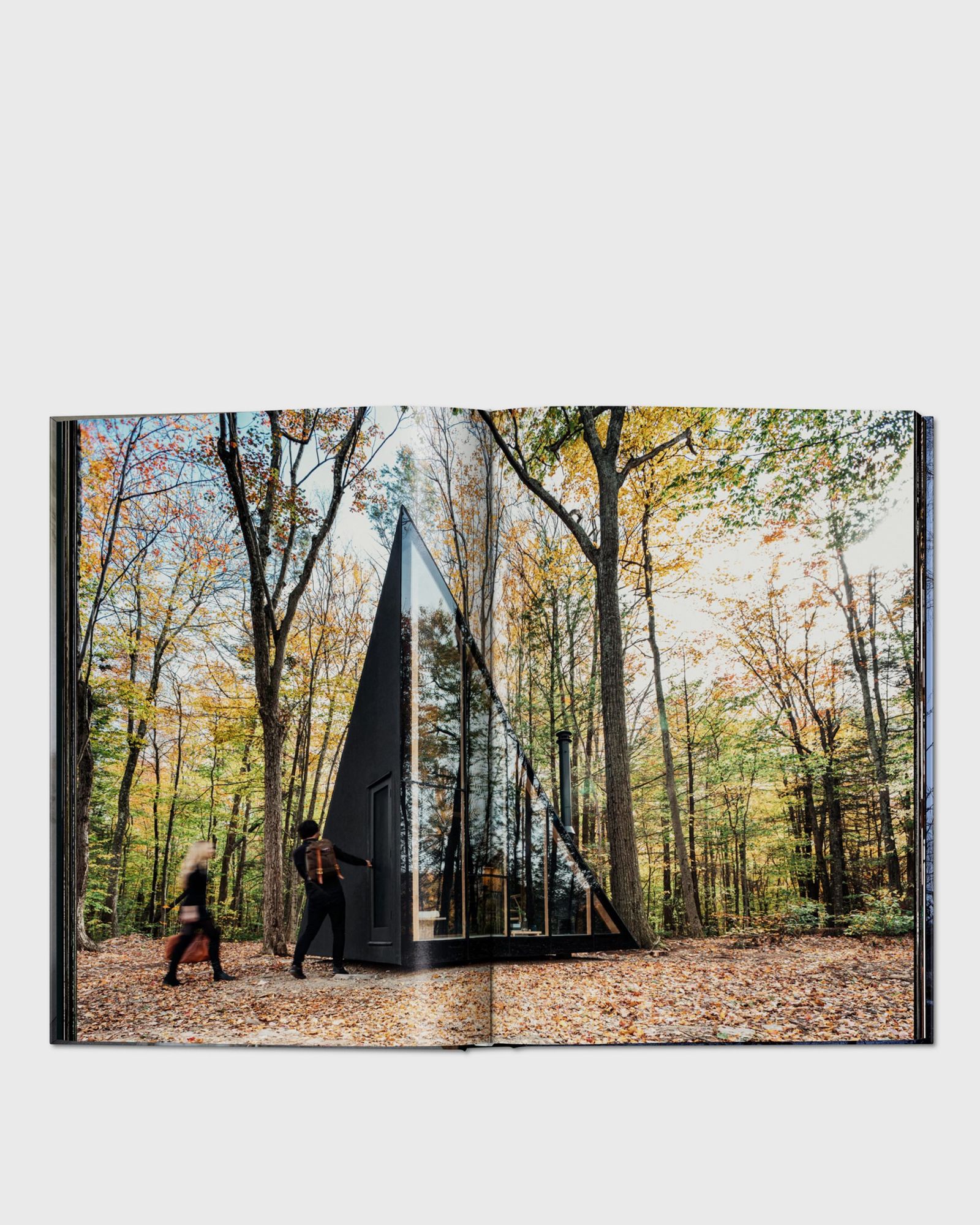 Homes for Our Time. Small Houses by Philip Jodidio