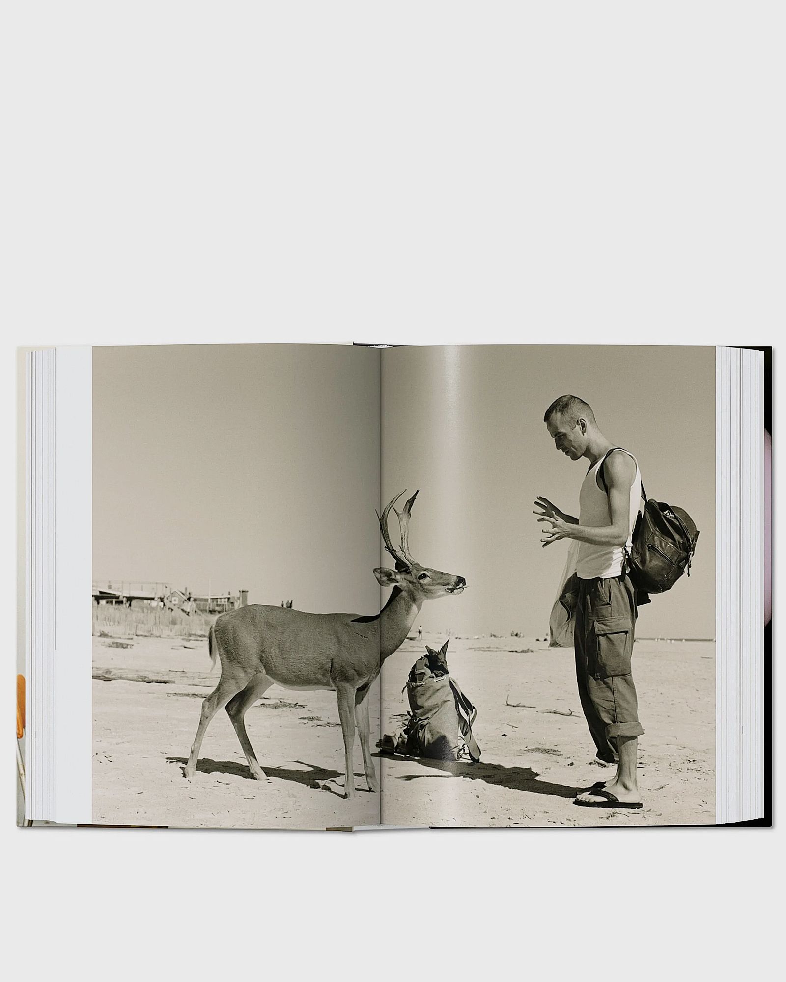 four books. 40th Ed by Wolfgang Tillmans