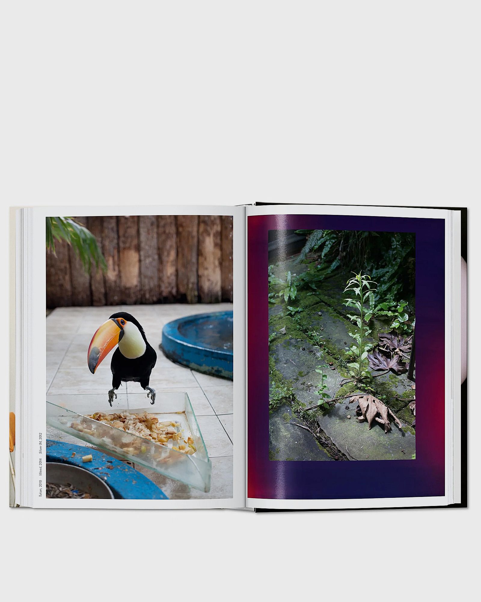 four books. 40th Ed by Wolfgang Tillmans