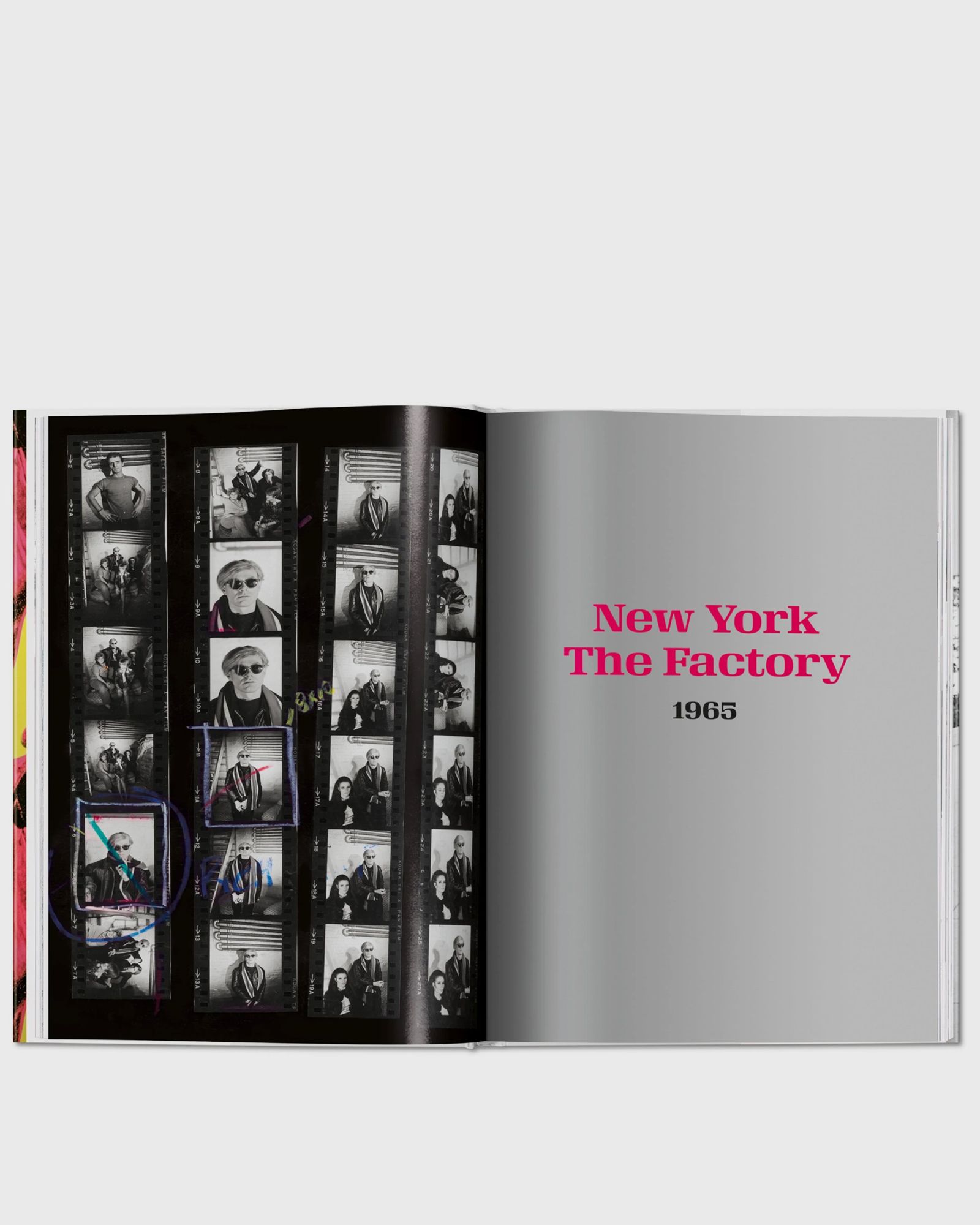 Steve Schapiro. Andy Warhol and Friends