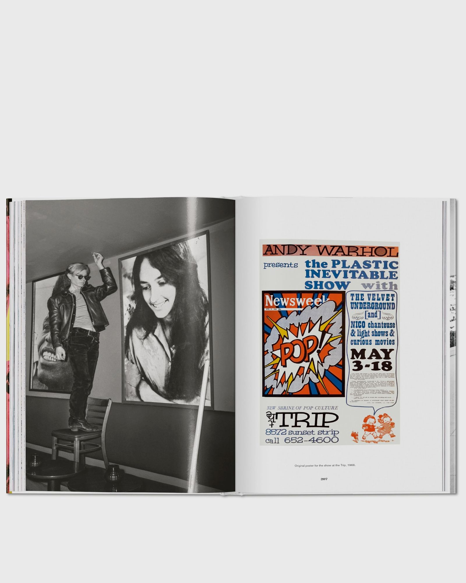 Steve Schapiro. Andy Warhol and Friends