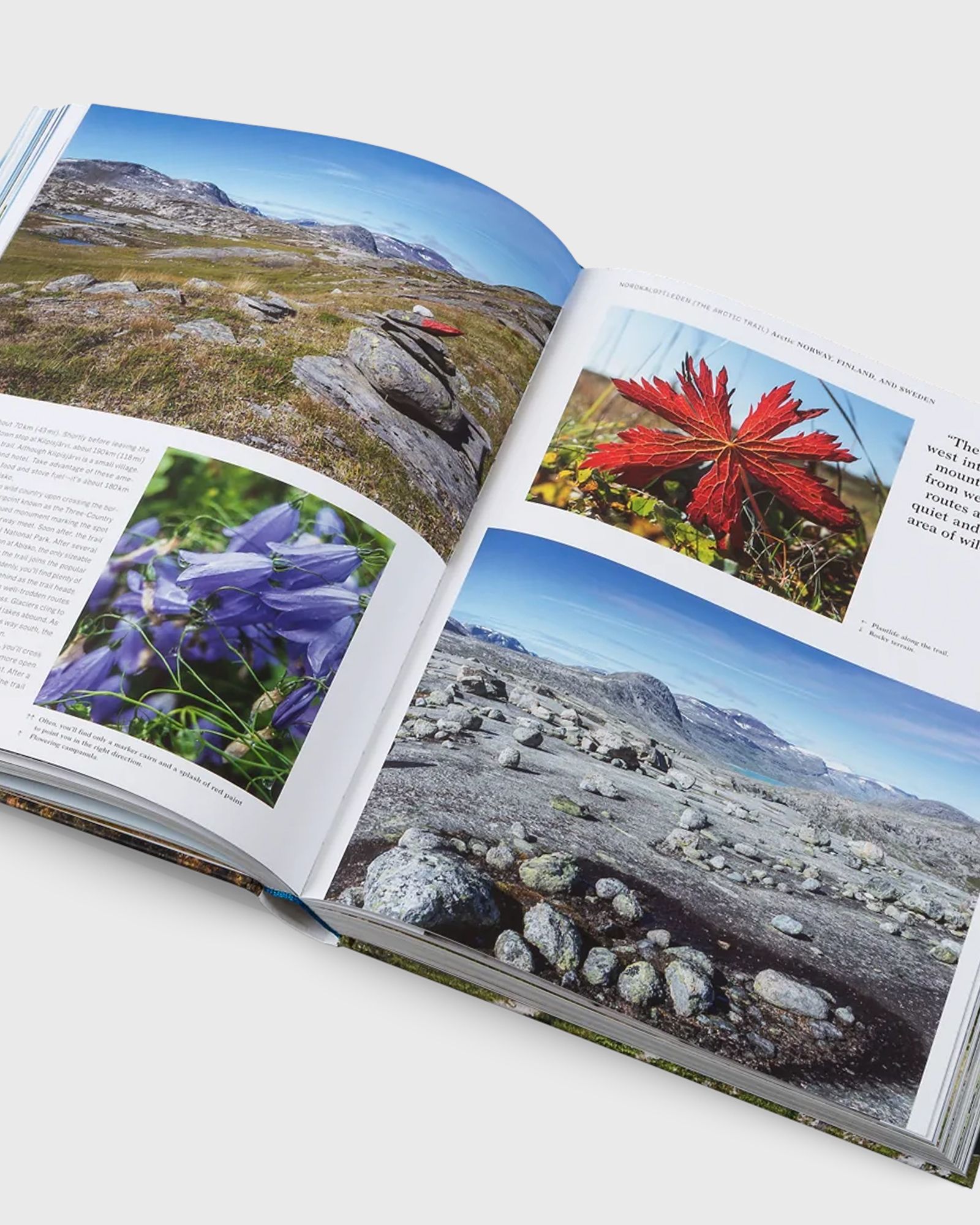 "Wanderlust Europe: The Great European Hike" by Alex Roddie