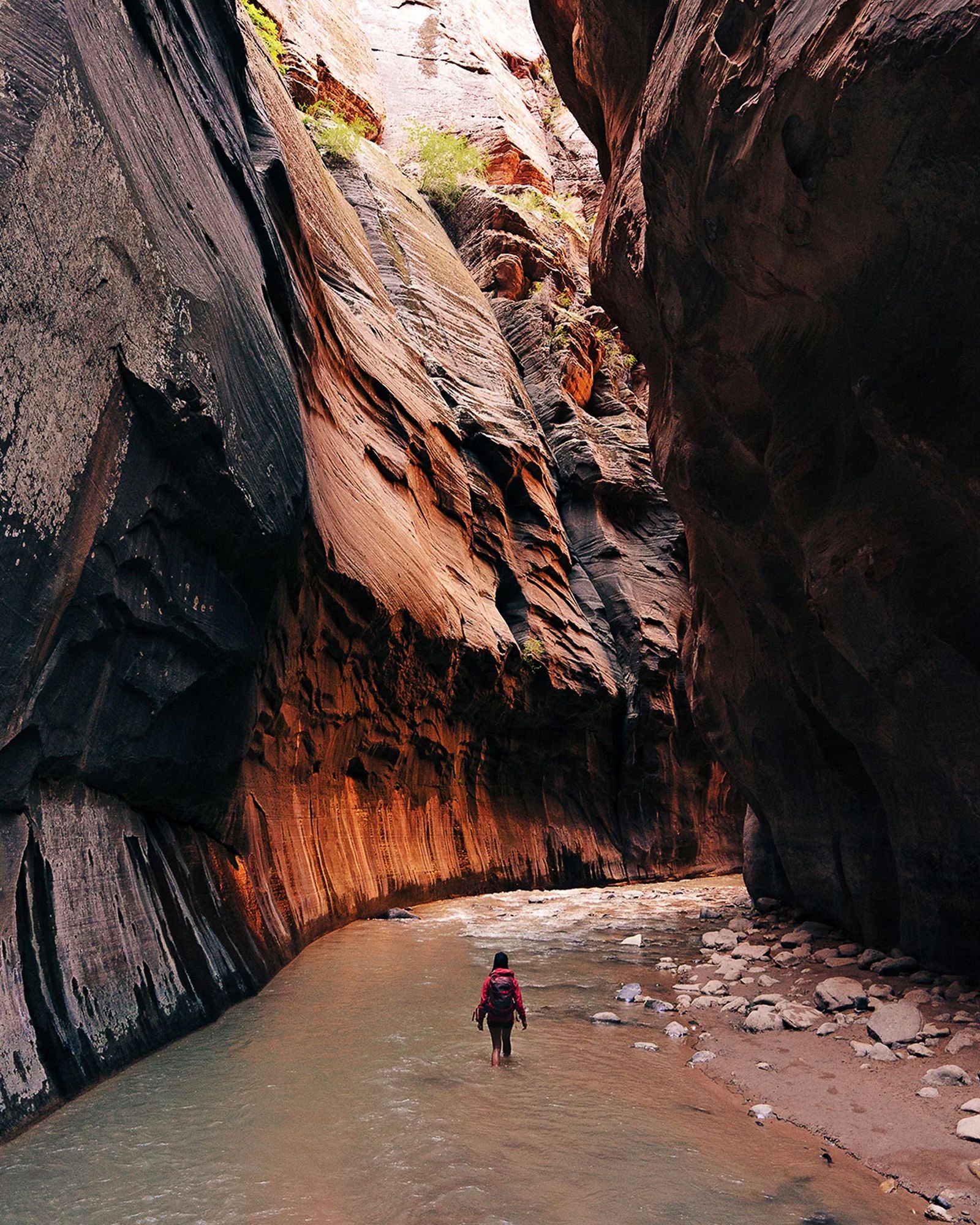 "Wanderlust: HIKING ON LEGENDARY TRAILS" by Cam Honan