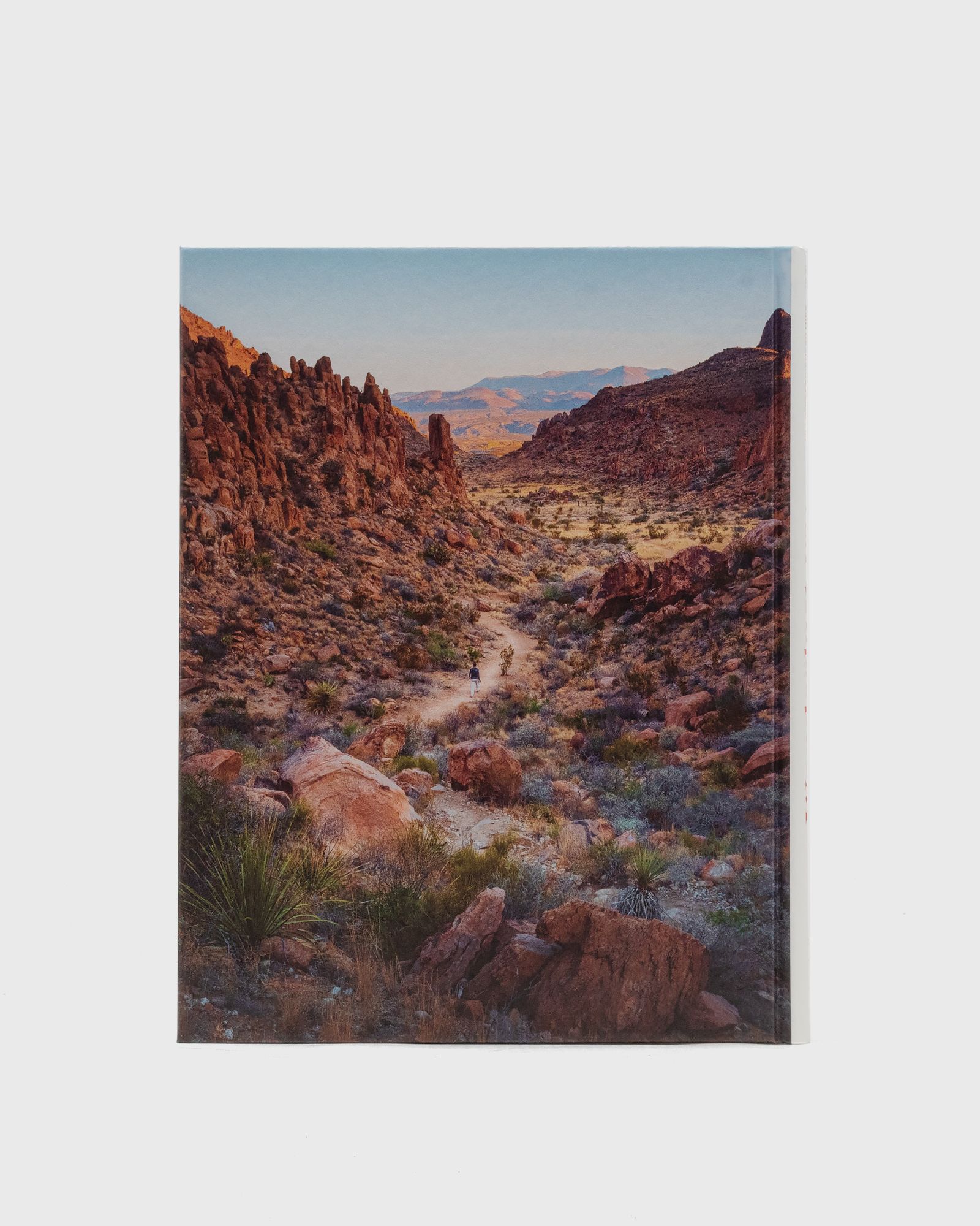 “Wanderlust USA” by Cam Honan