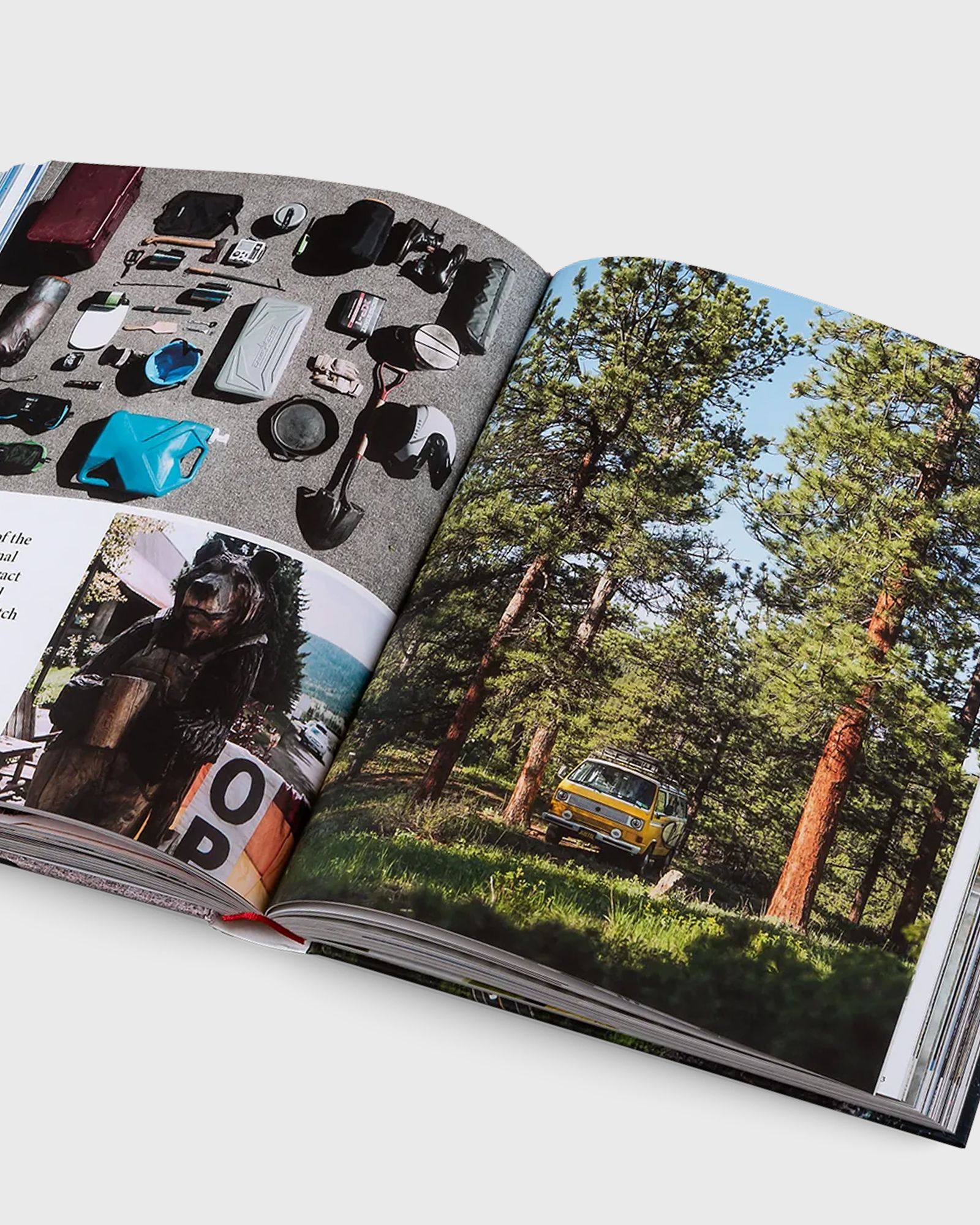 "The Great American Road Trip: Roam the Roads From Coast to Coast"