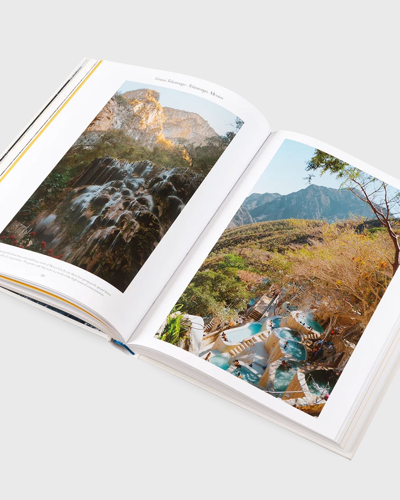 The Nature of Swimming by Robert Klanten and Laura Allsop