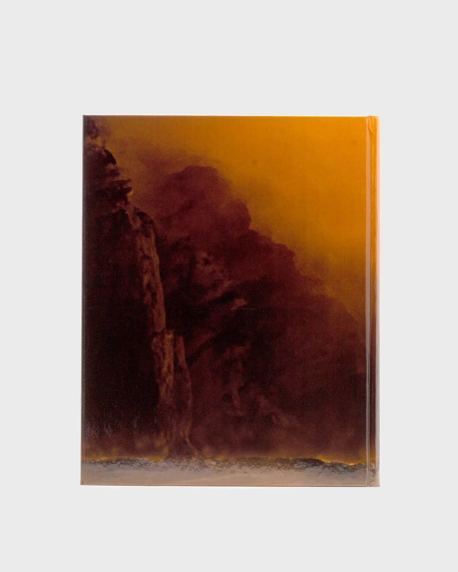 “Surf Porn - Surf Photography's Finest Selection” by von Robert Klanten & Bastian Fuhrmann