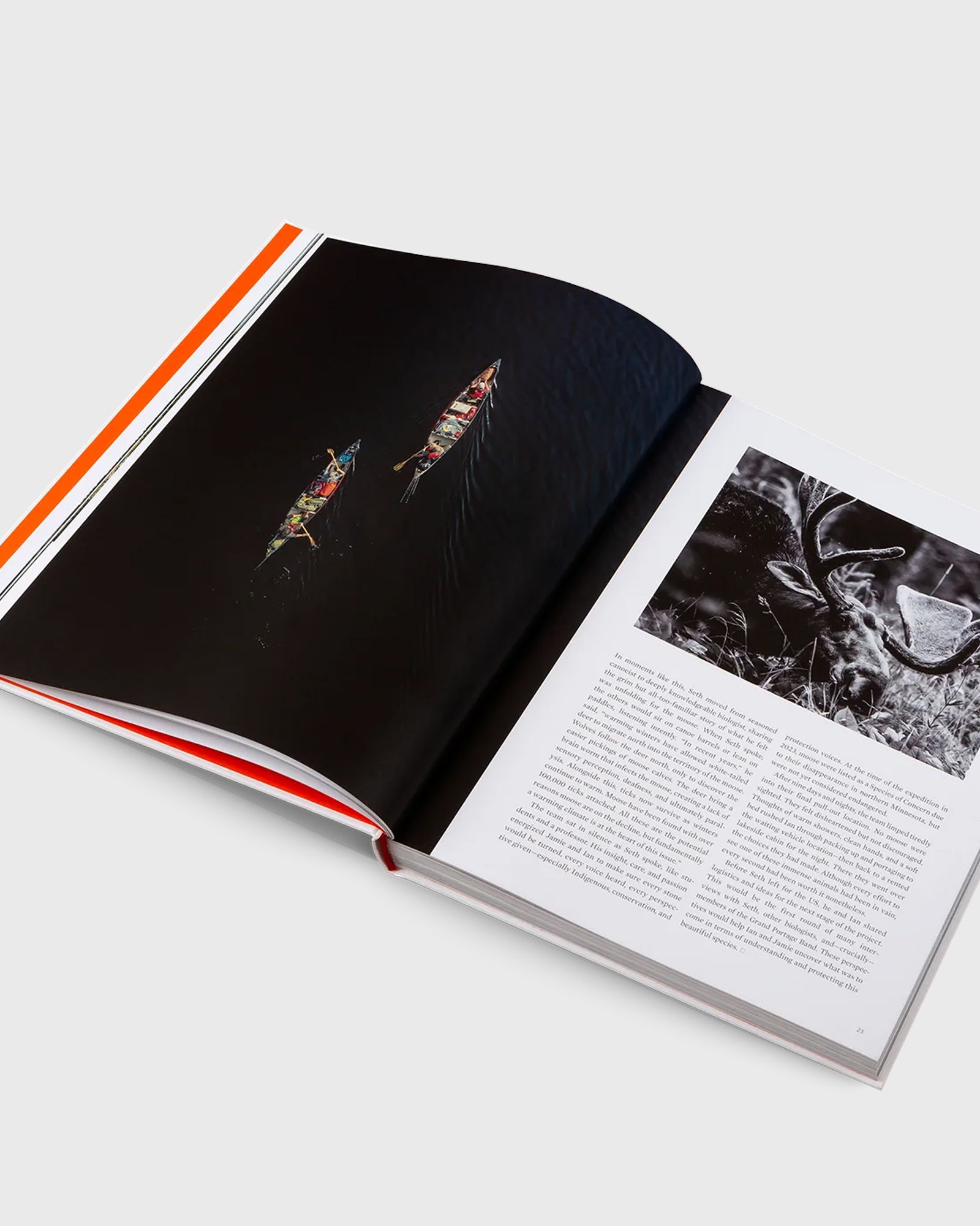 VOYAGES Sidetracked Beyond