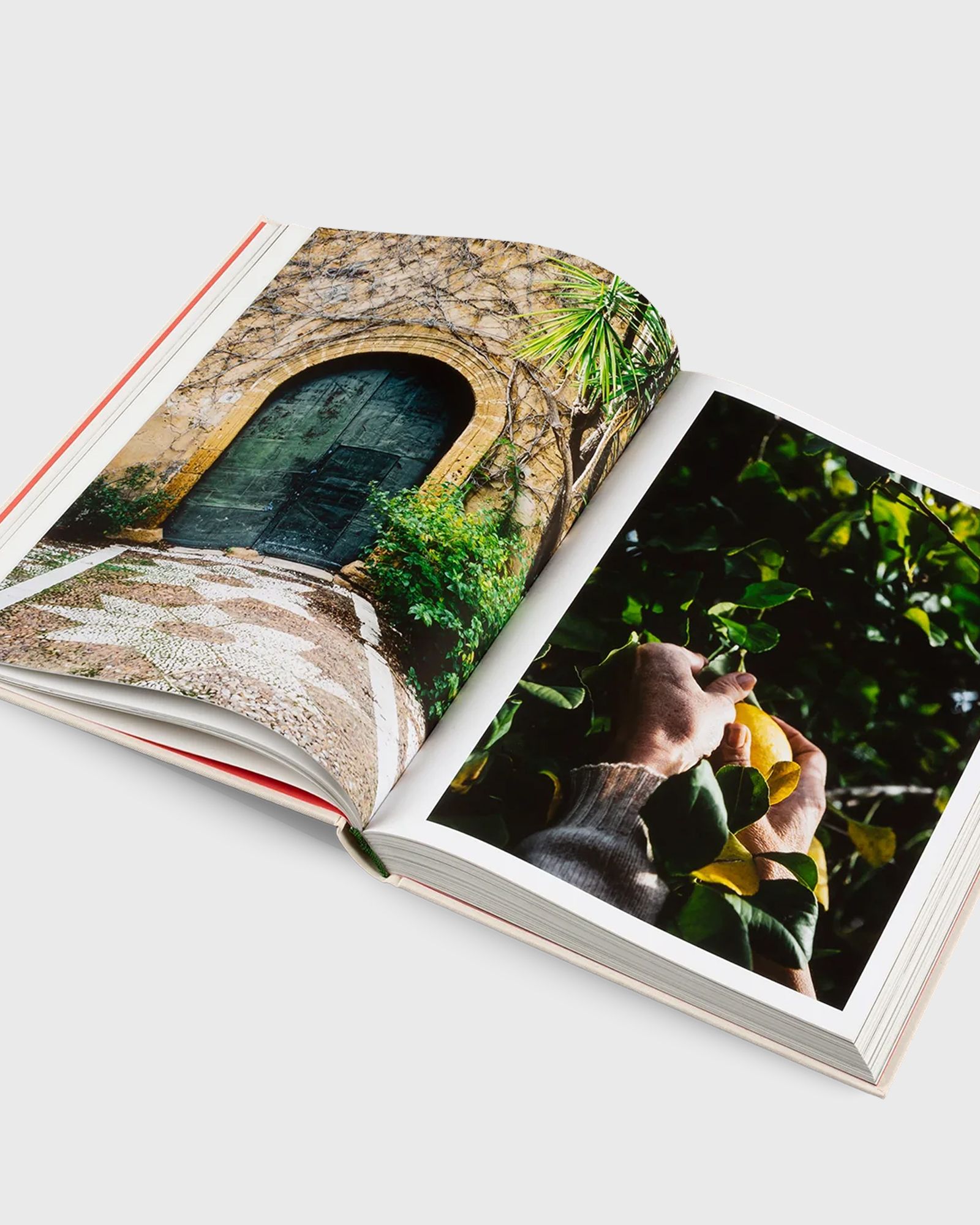 ORIGINALE Die Rezepte und Zutaten der original italienischen Küche