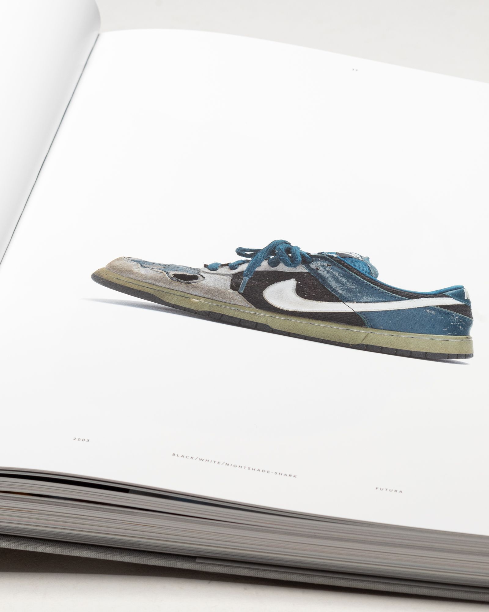 "Nike SB: The Dunk Book" by Sandy Bodecker & Jesse Leyva
