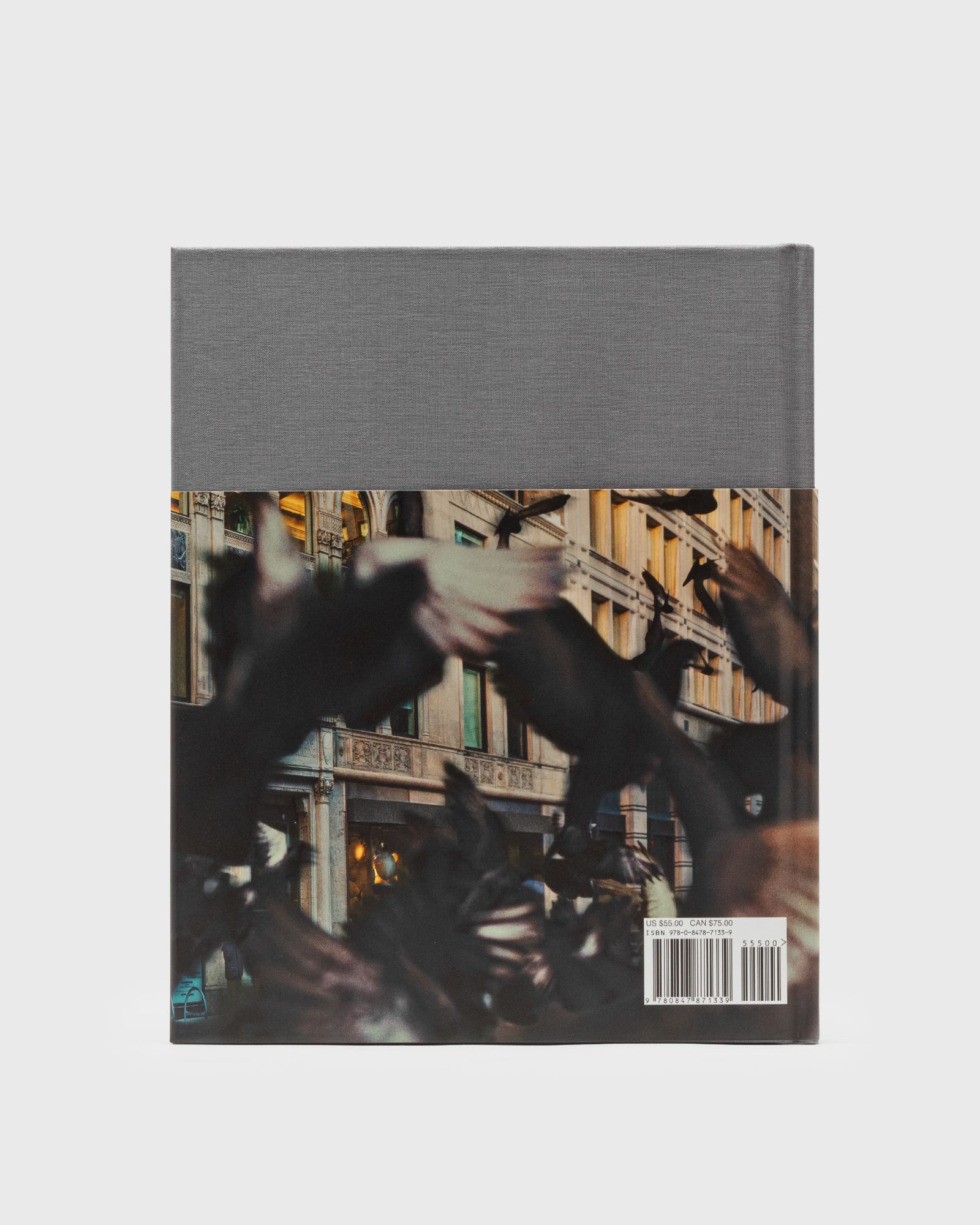 "Jeff Staple Deluxe: Not Just Sneakers" by Jeff Staple & Hiroshi Fujiwara