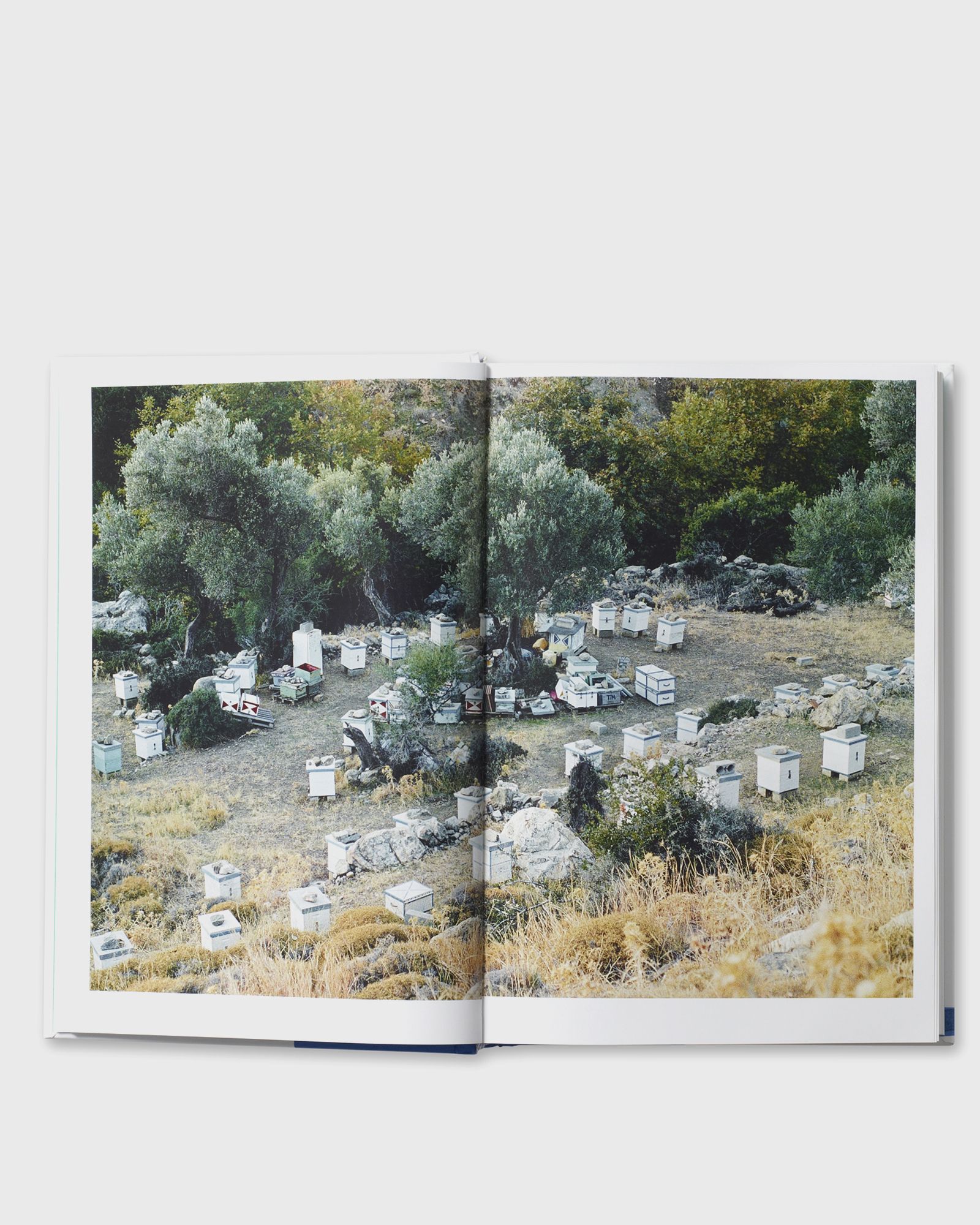 "Greece: The Cookbook" by Vefa Alexiadou