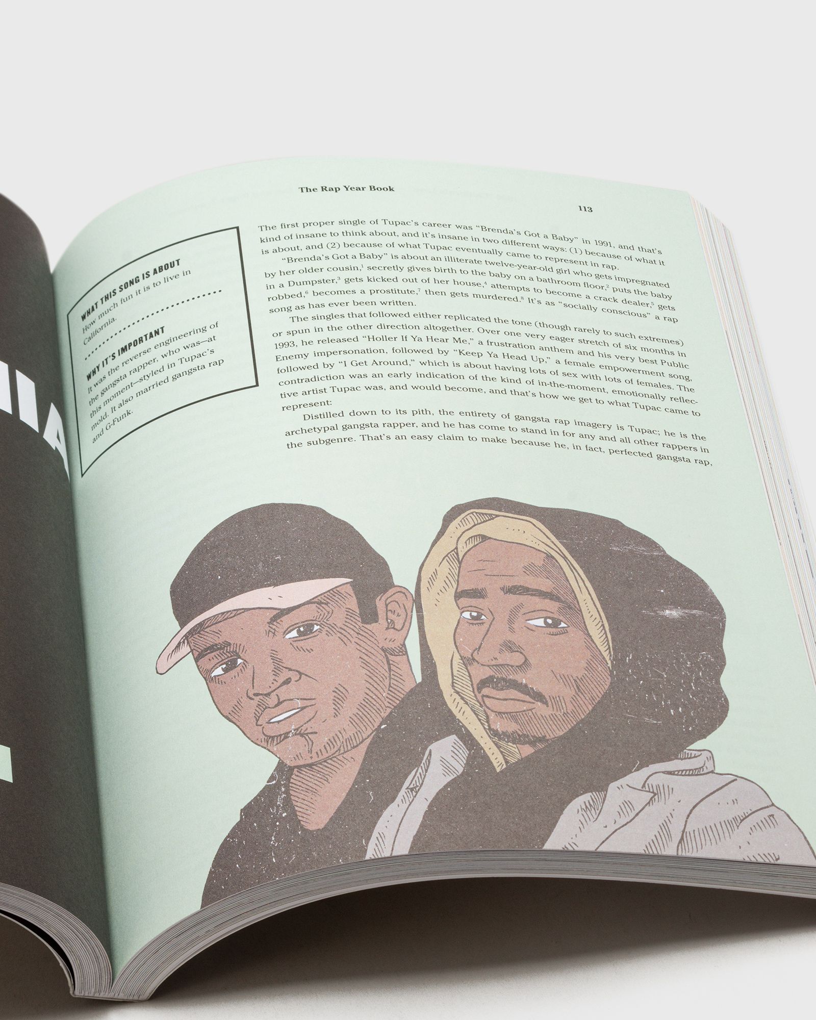 "The Rap Year Book" by Shea Serrano