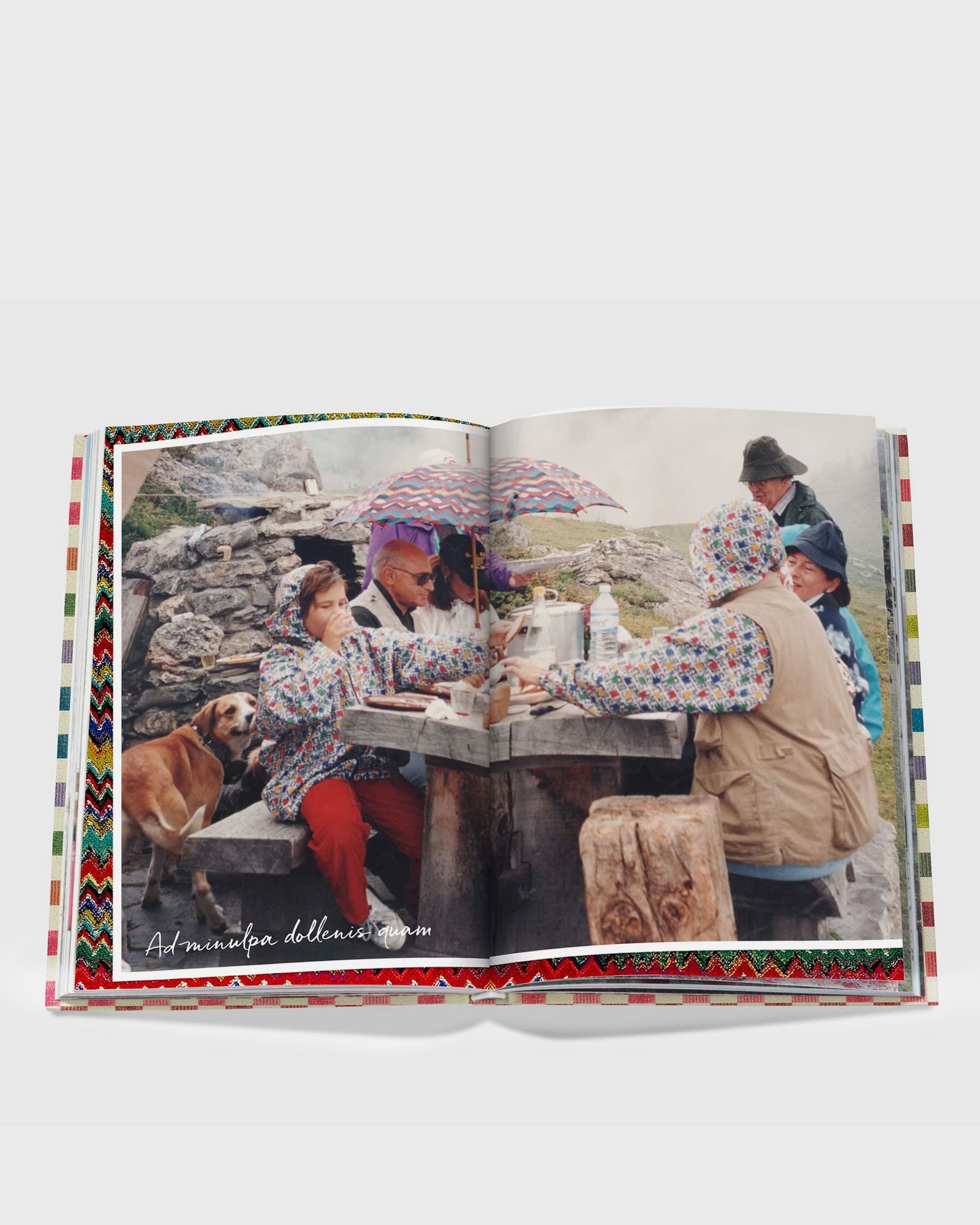 The Missoni Family Cookbook