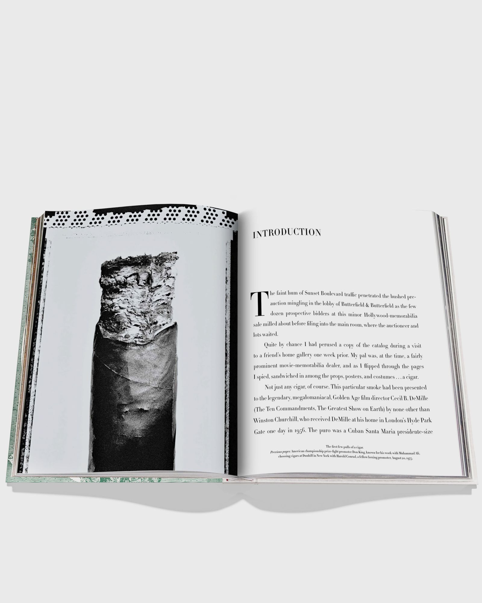 "The Impossible Collection of Cigars" by Aaron Sigmond
