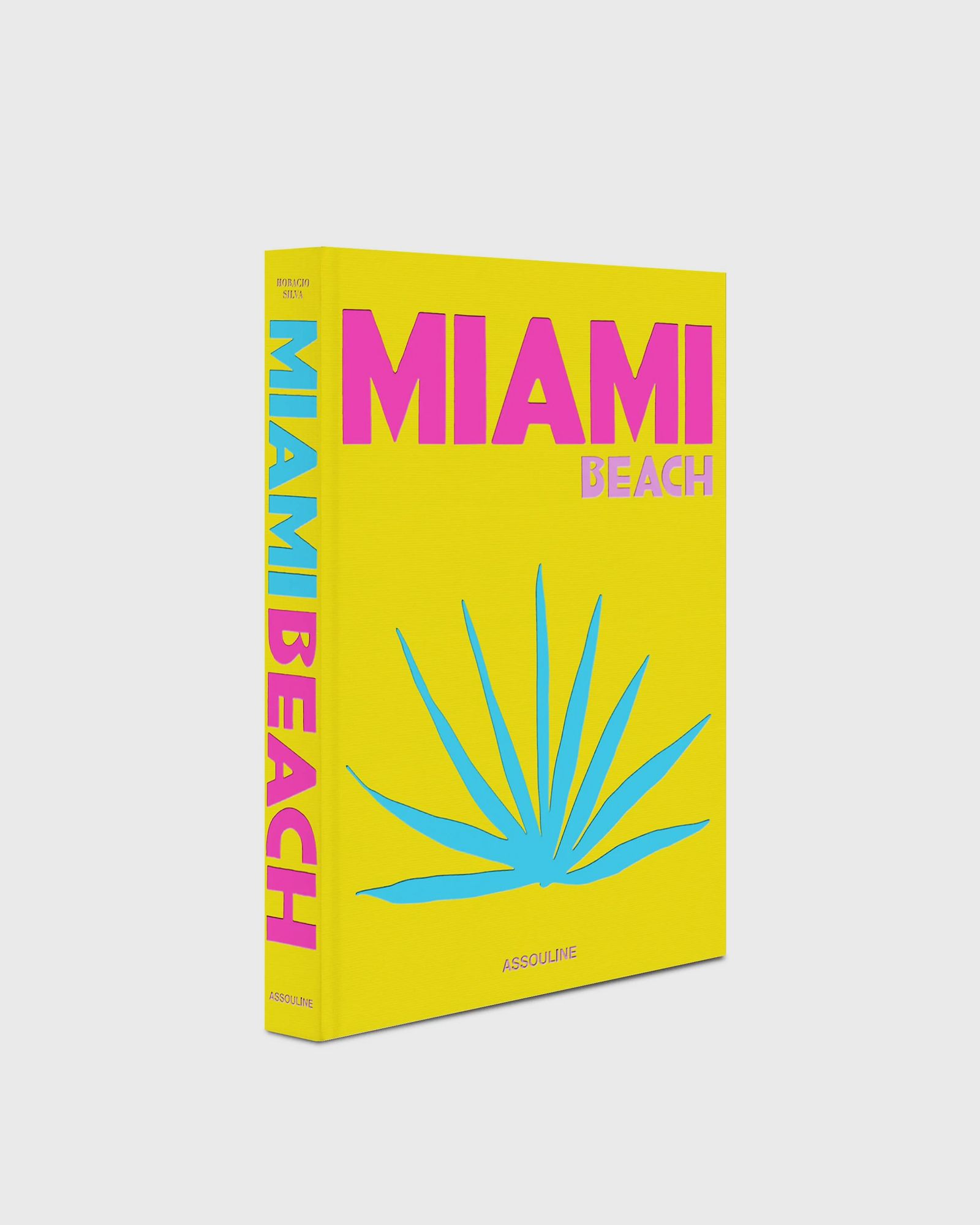 "Miami Beach" by Horacio Silvia