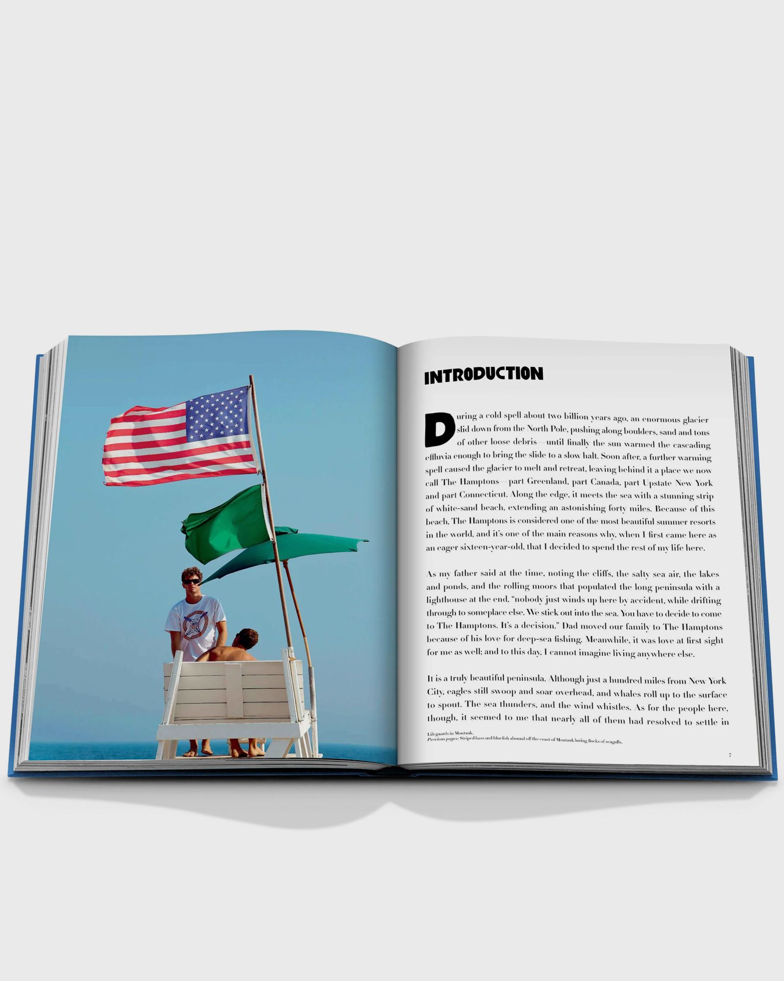 “Hamptons Private” by Dan Rattiner