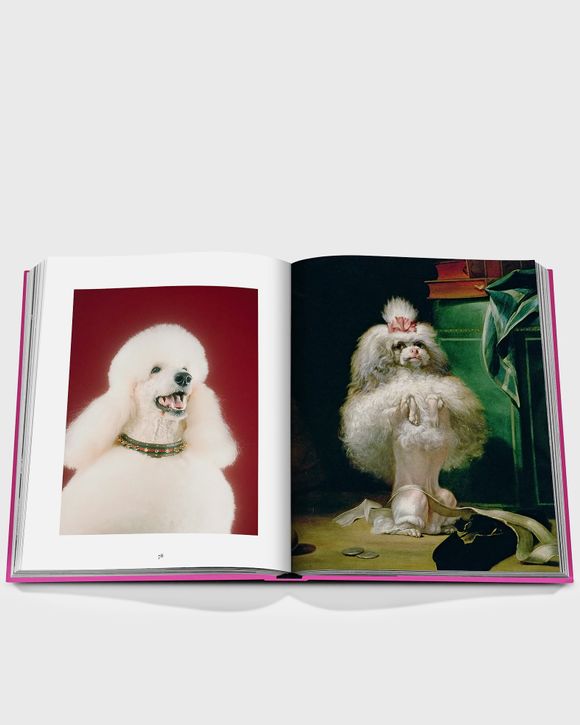 Chic Dogs