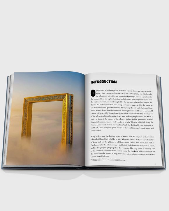 "Dubai Wonder" by Myrna Ayad