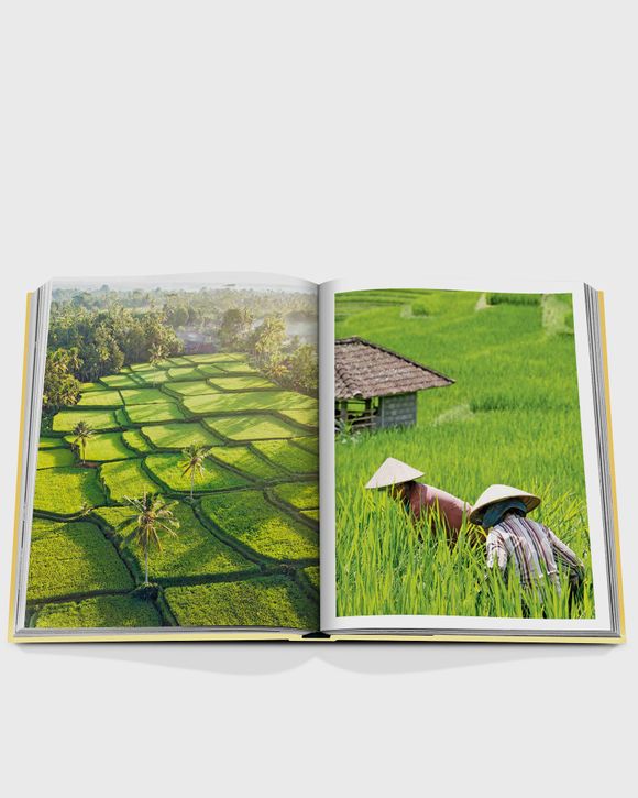 "Bali Mystique" by Elora Hardy