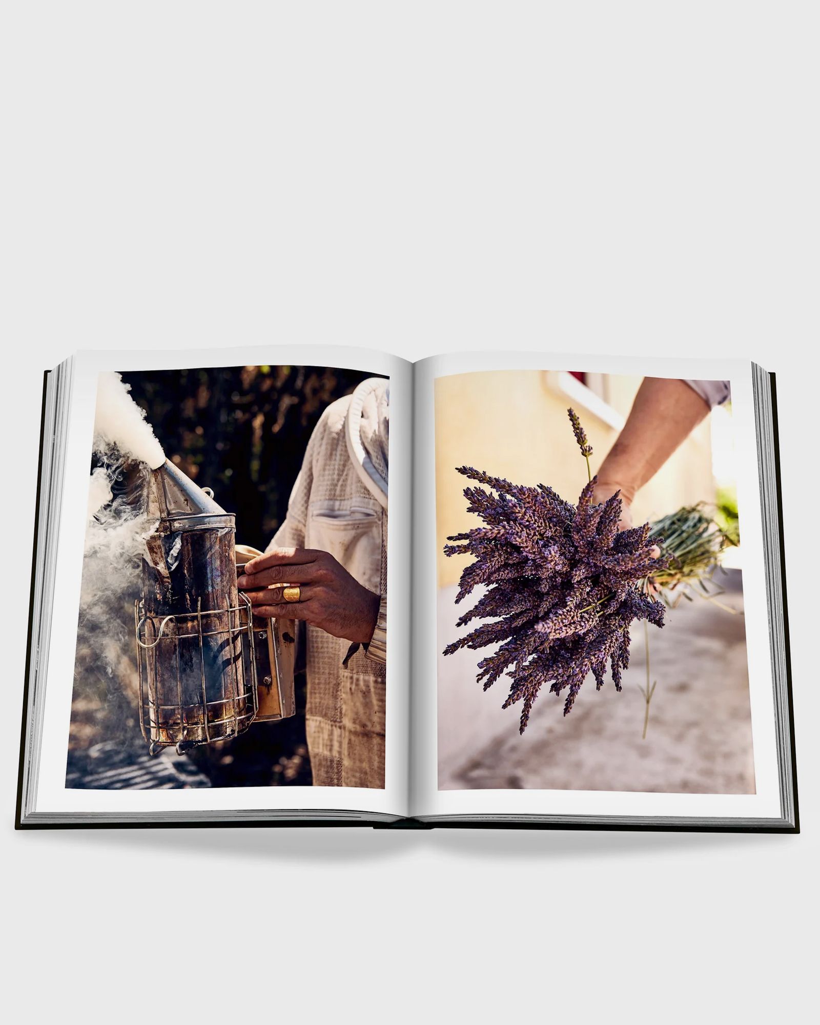 Louis Vuitton Manufactures