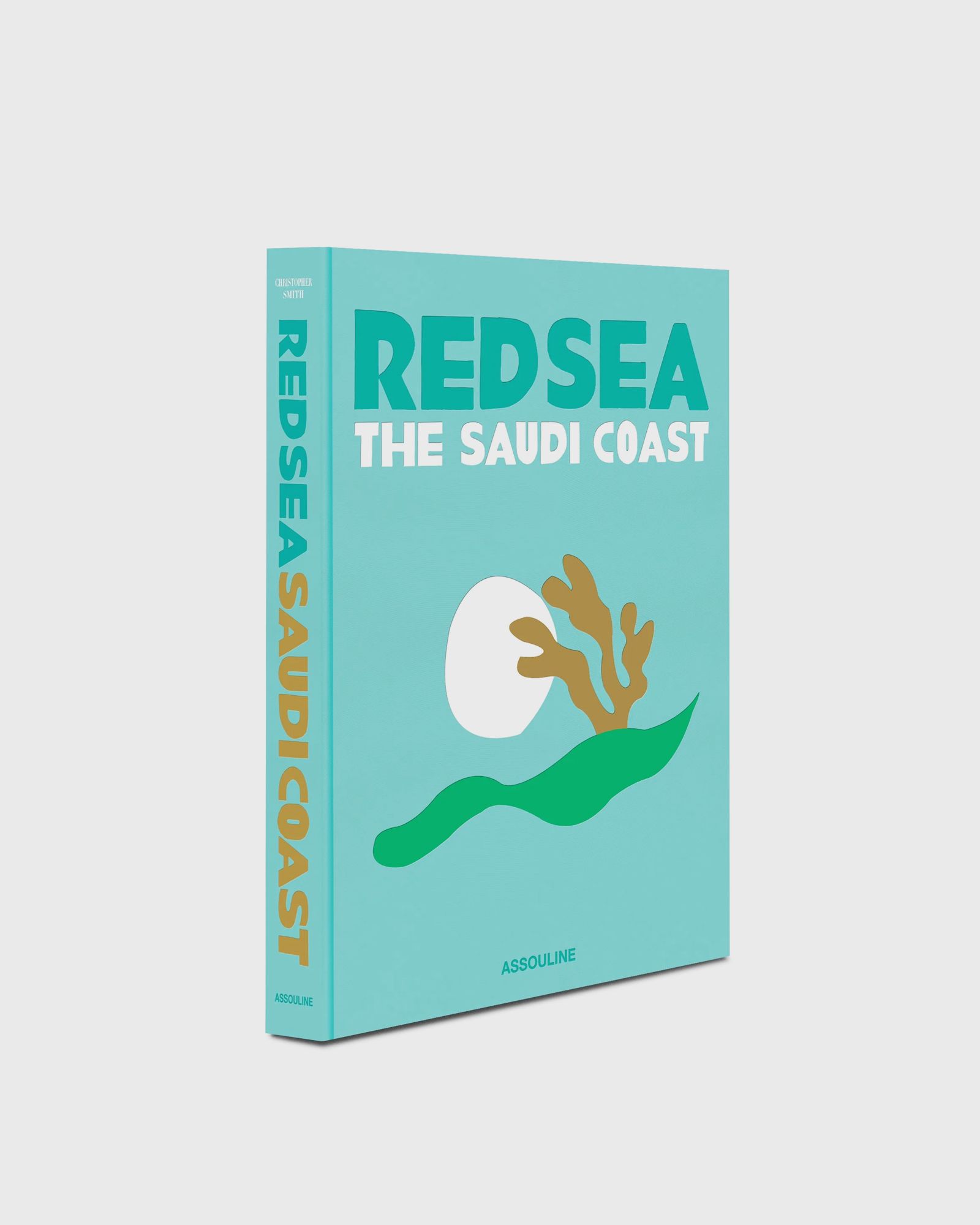 "Saudi Arabia: Red Sea, The Saudi Coast" by Christopher Smith