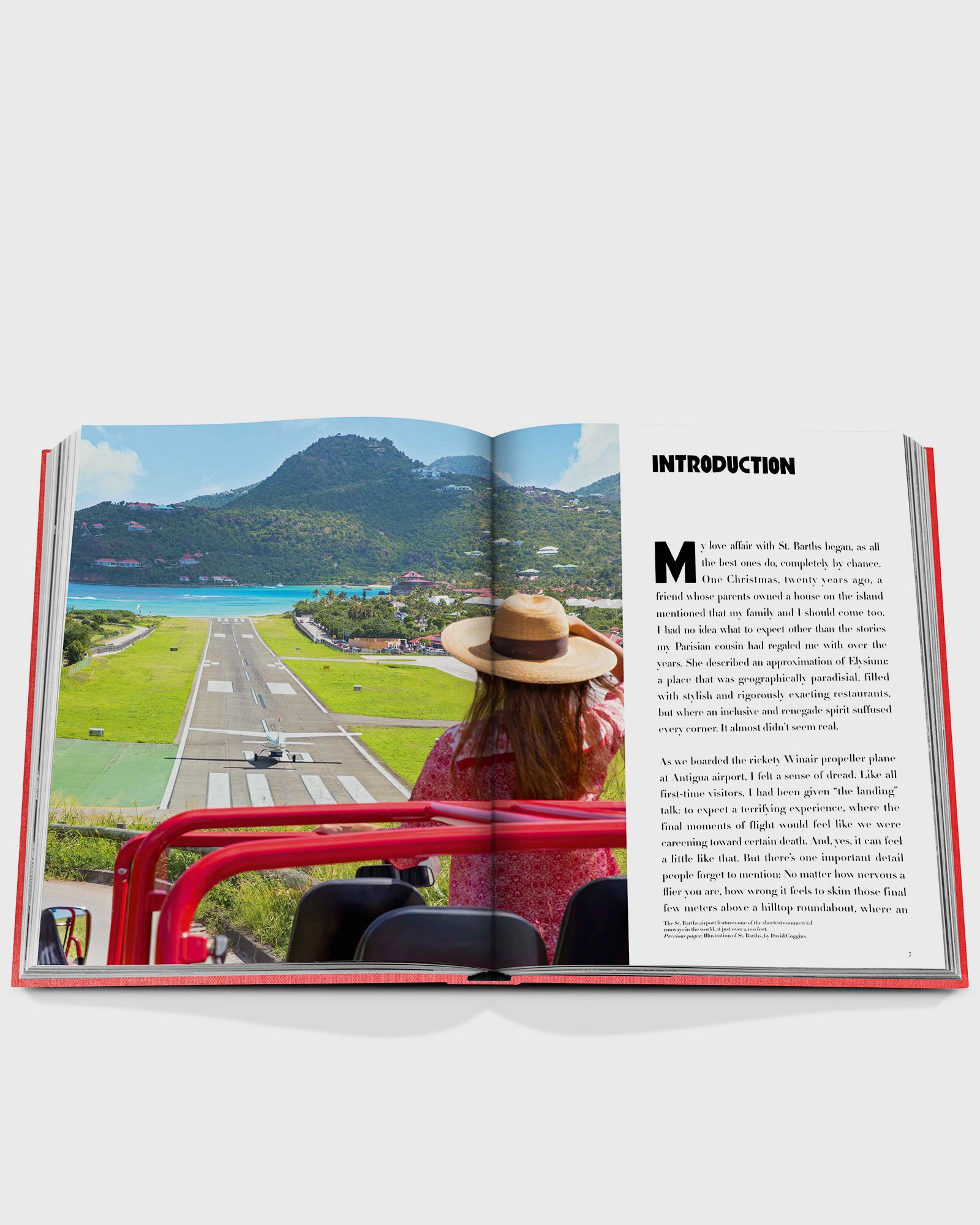 "St Barths Freedom" by Vassi Chamberlain