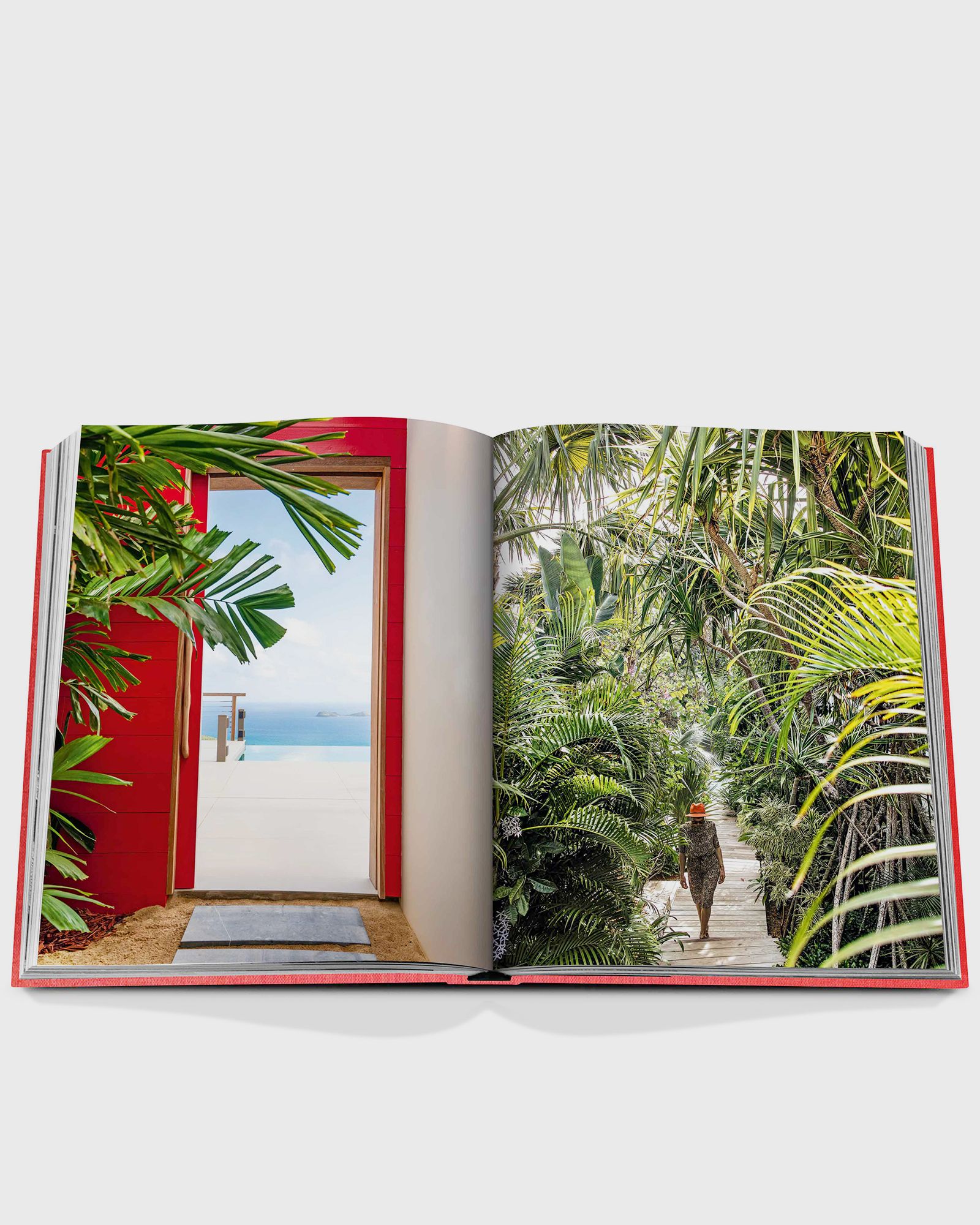 "St Barths Freedom" by Vassi Chamberlain