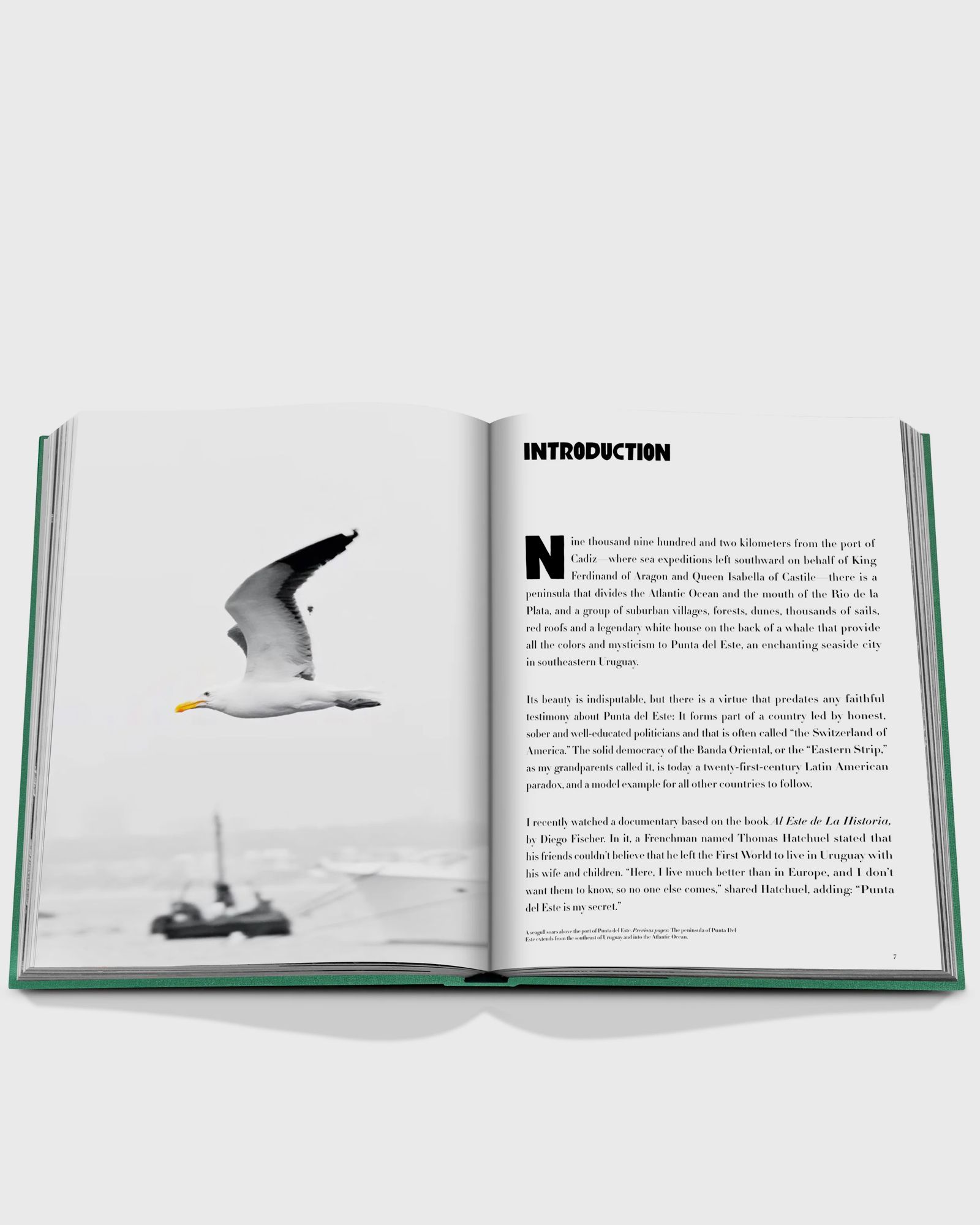 "Punta del Este" by Bony Bullrich