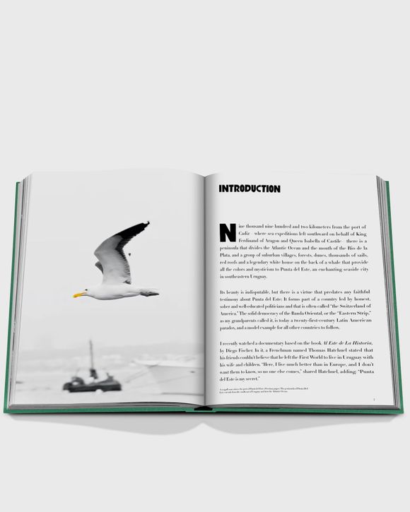 "Punta del Este" by Bony Bullrich