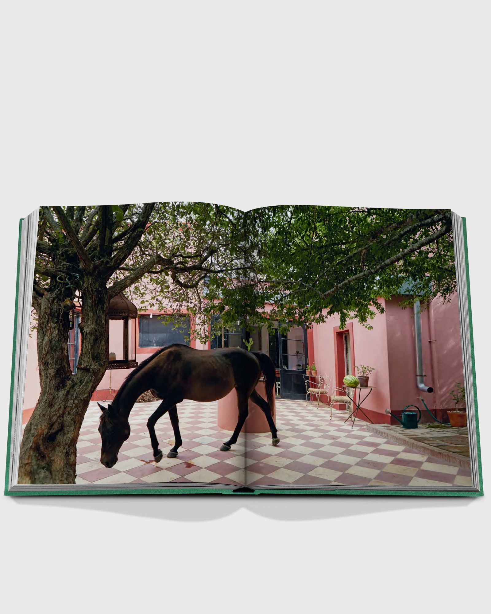 "Punta del Este" by Bony Bullrich