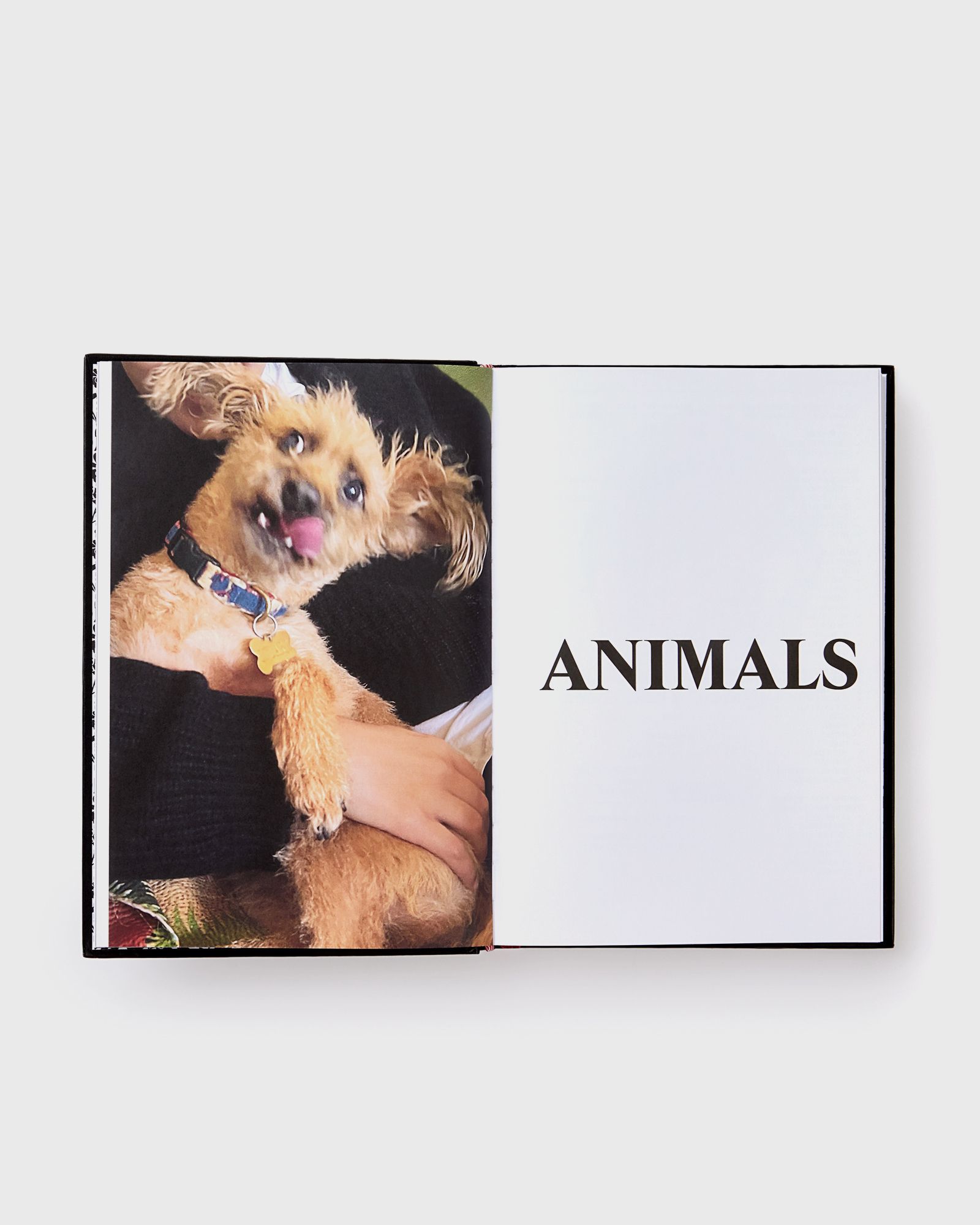 "Palace Product Descriptions: The Selected Archive" by Lev Tanju