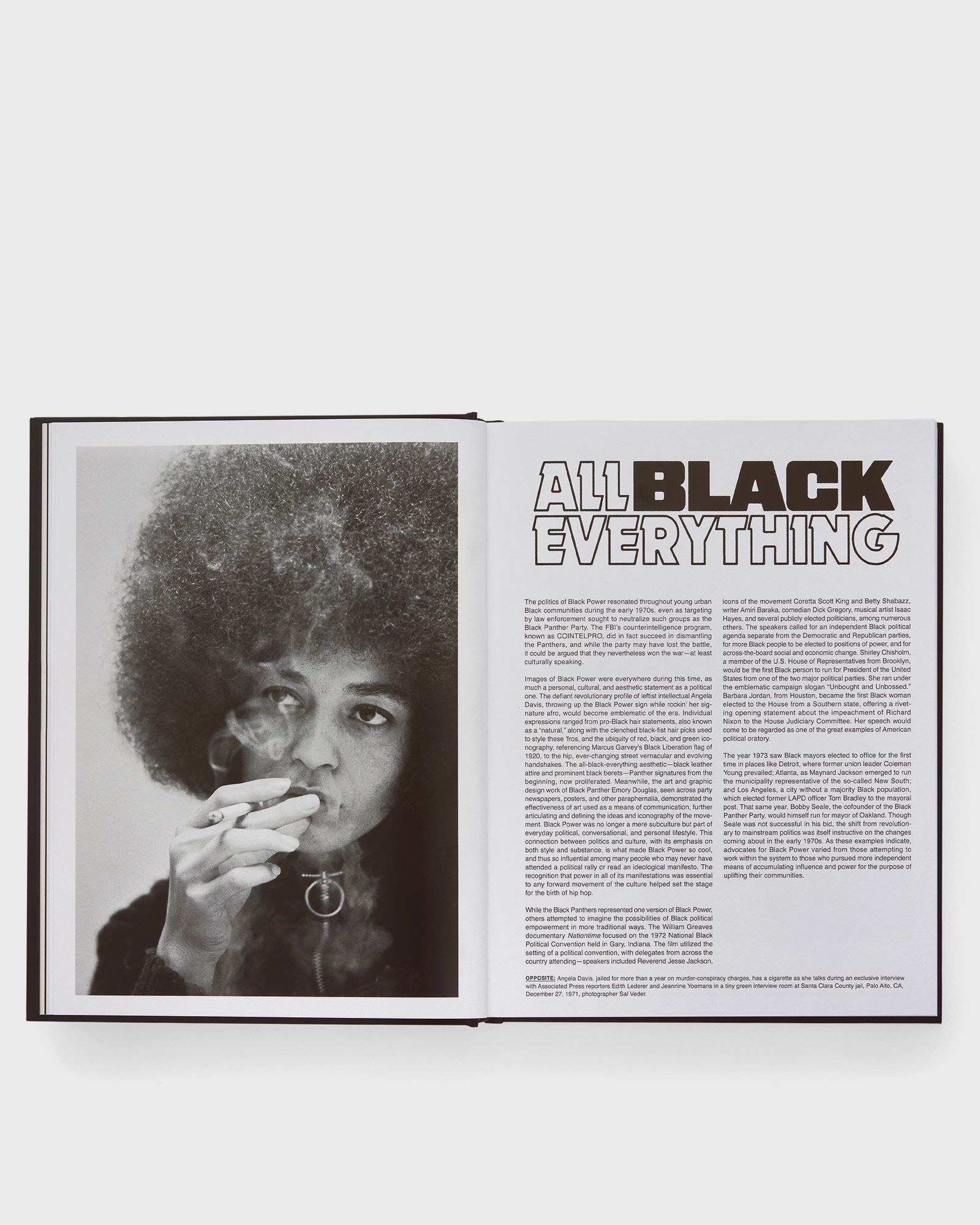 “Rapper’s Deluxe - How Hip Hop Made the World” by Todd Boyd