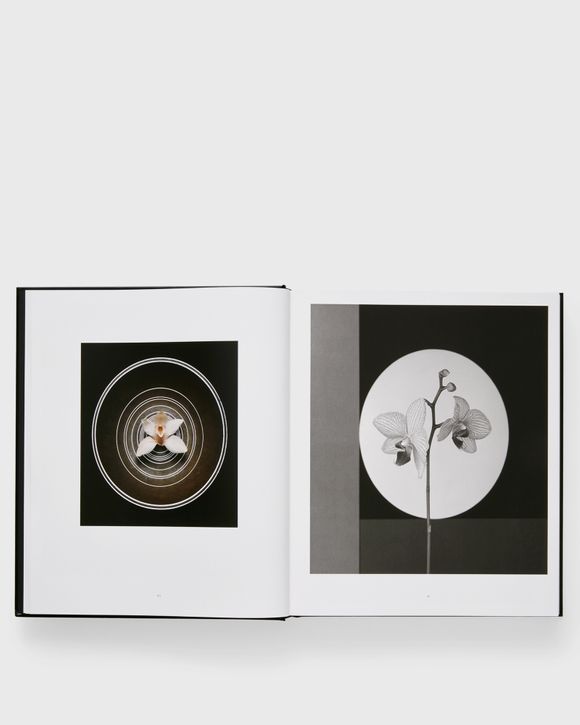 Robert Mapplethorpe