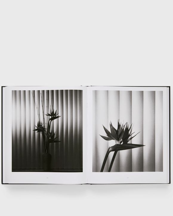 Robert Mapplethorpe