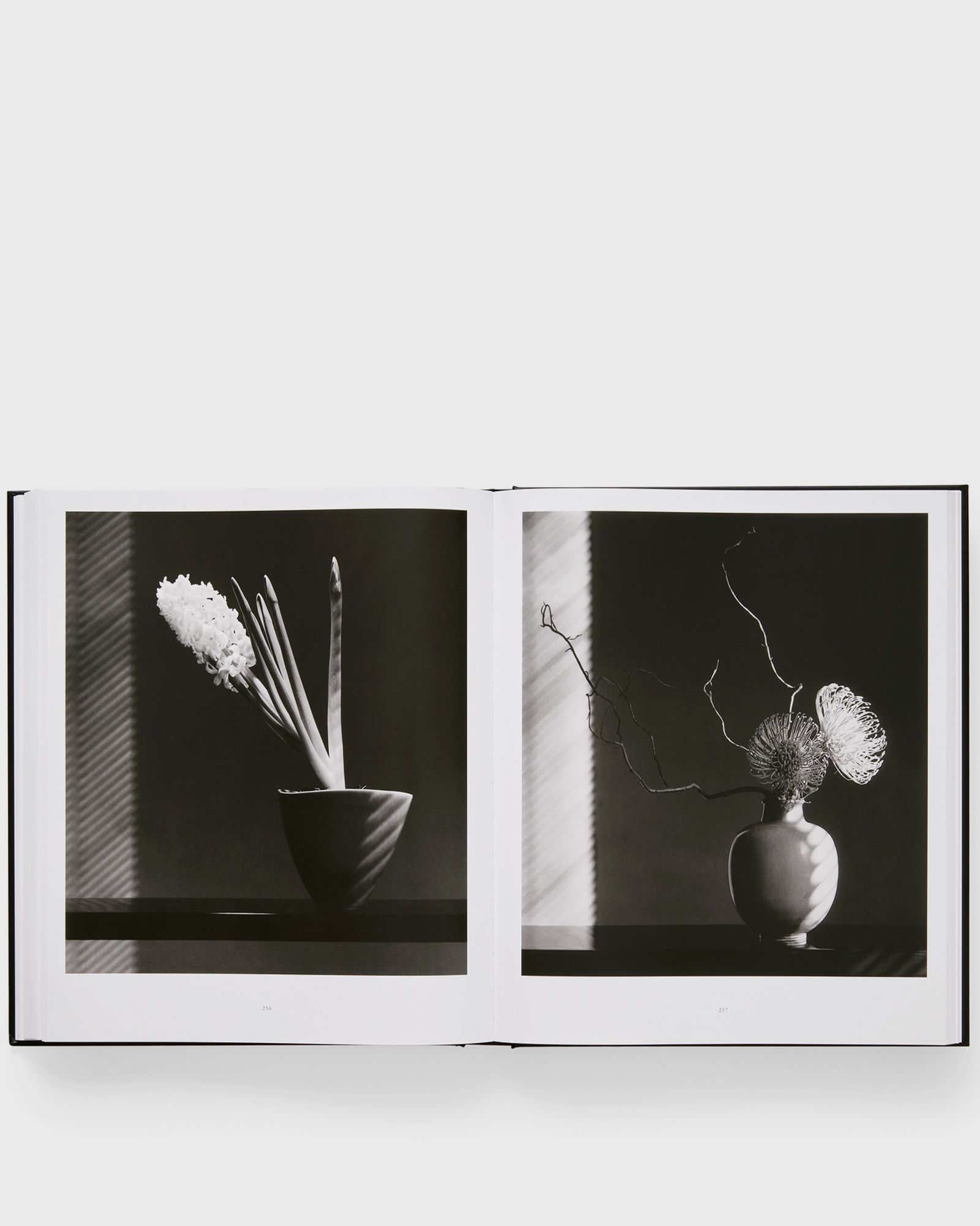 Robert Mapplethorpe