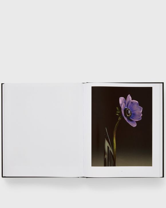 Robert Mapplethorpe